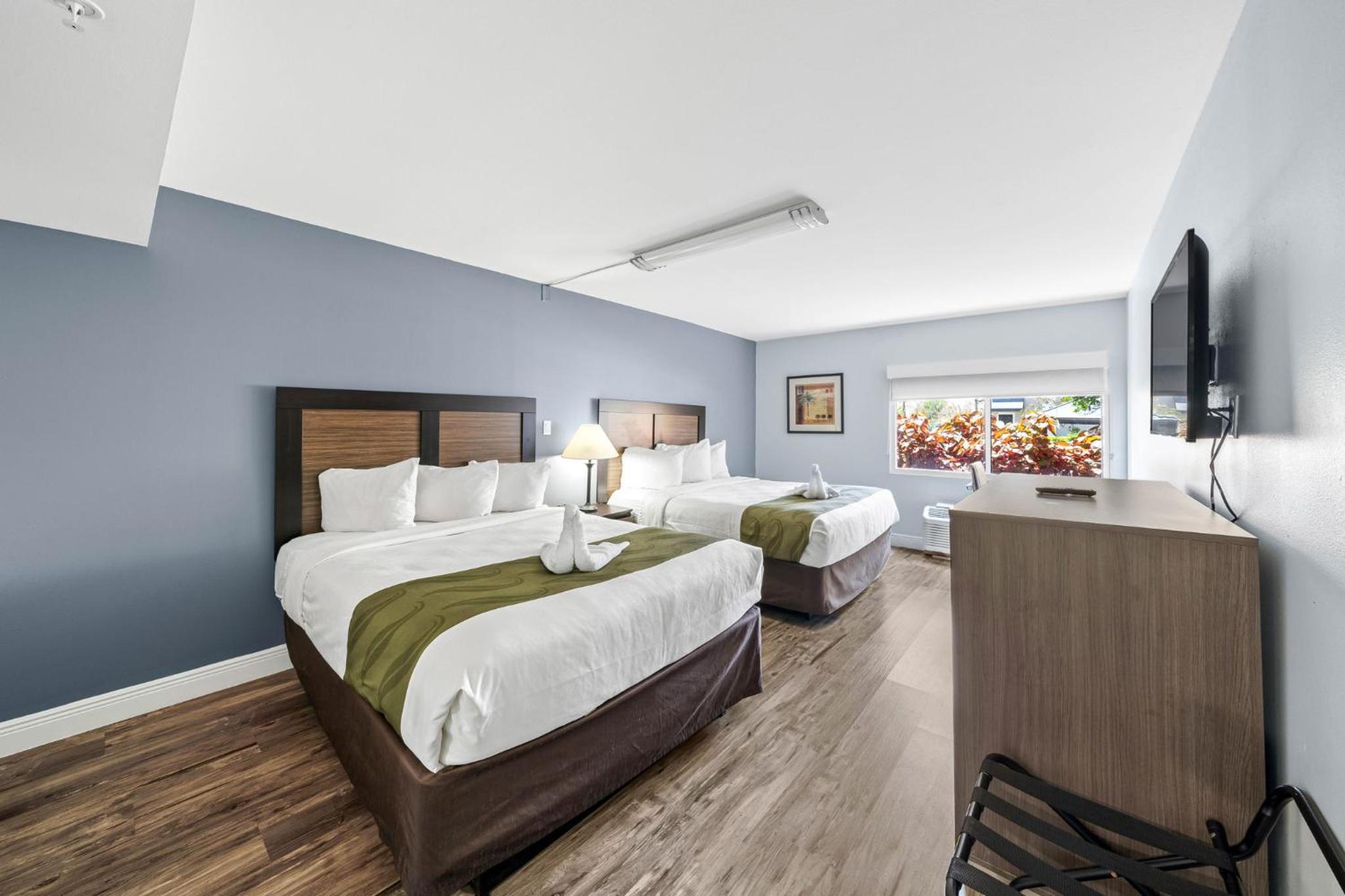Queen Room with Two Queen Beds - Non-Smoking - Photo 4