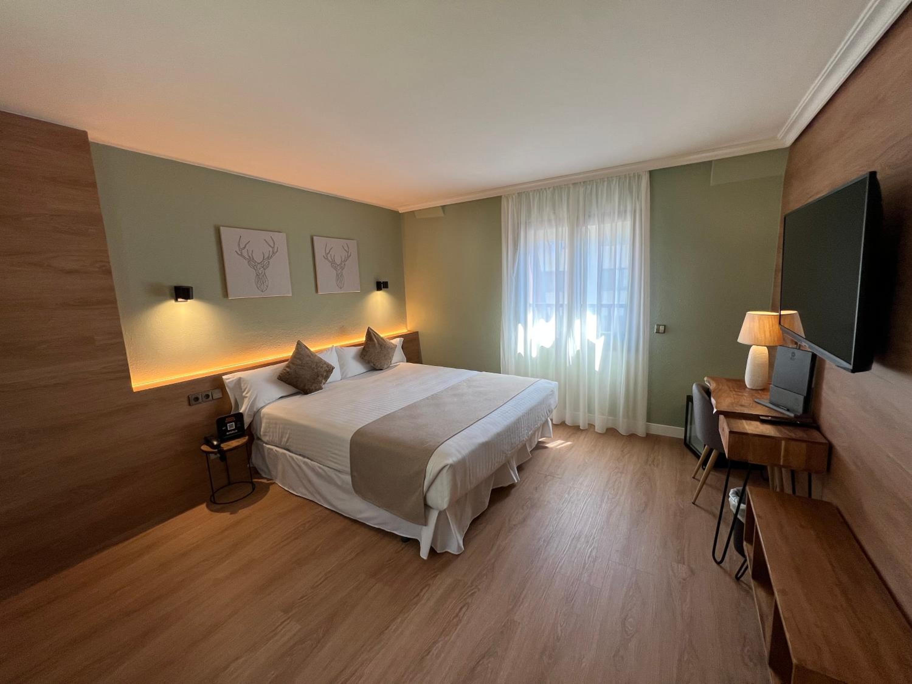 Deluxe Double Room photo 2