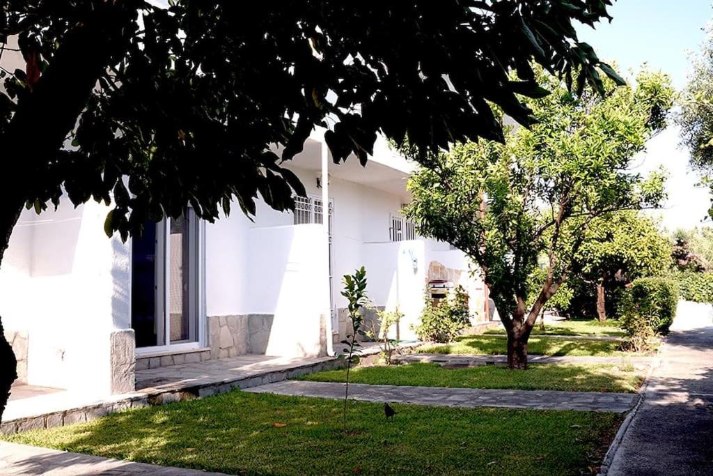 Two-Bedroom House photo 3