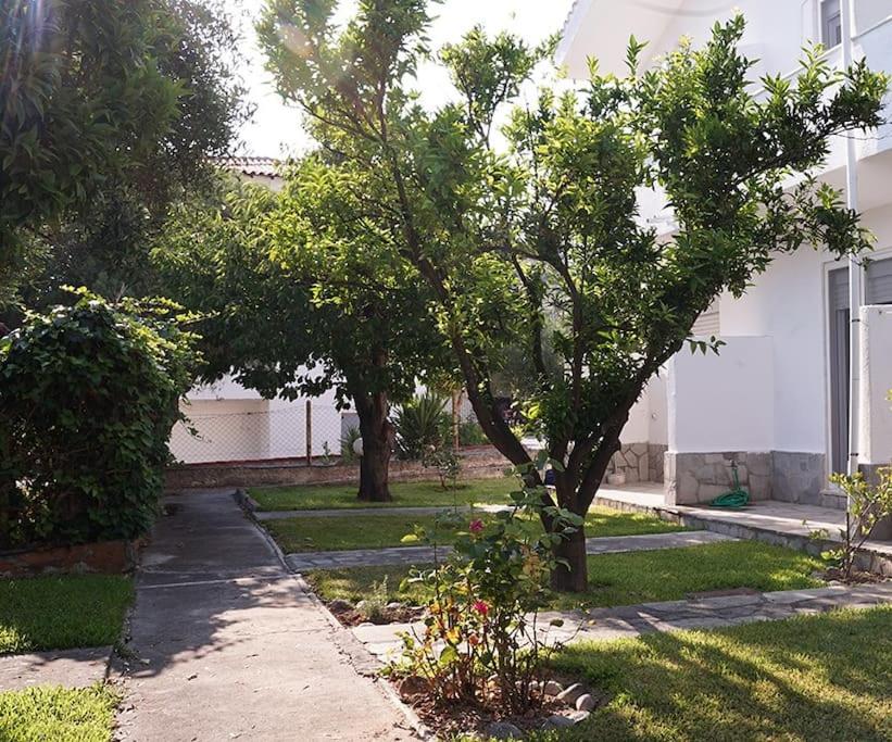 Two-Bedroom House photo 2