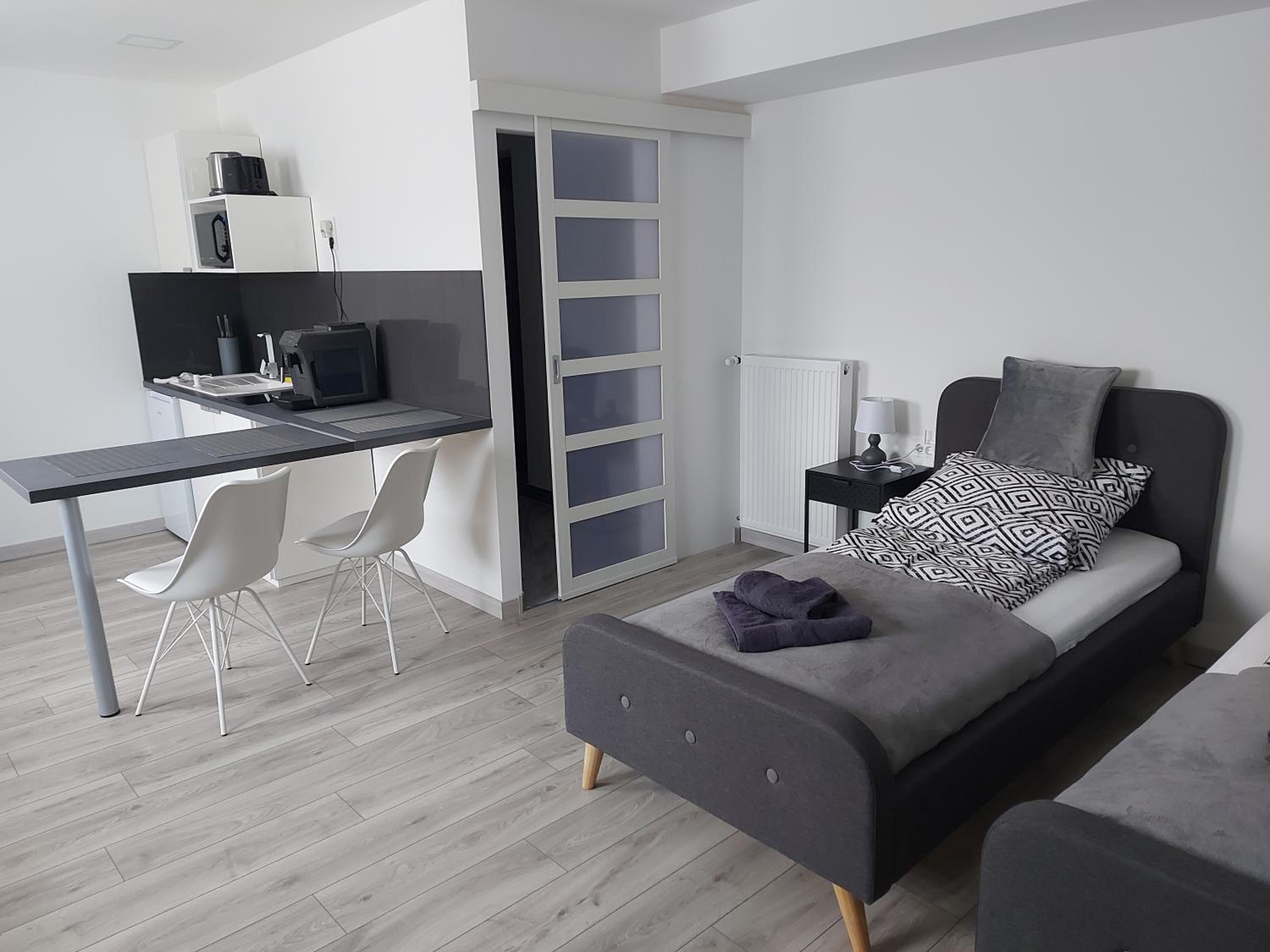 Studio with Sofa Bed