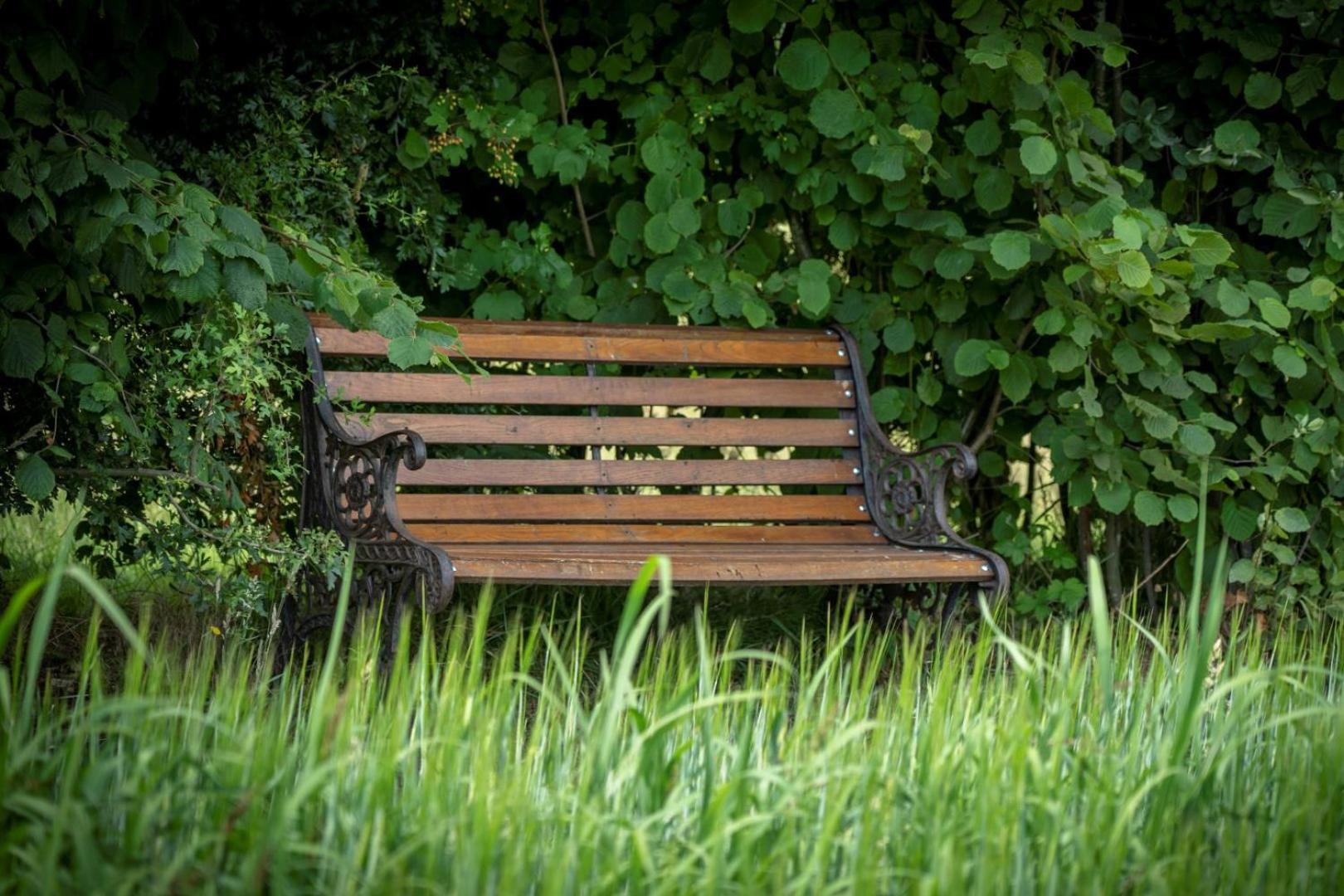 Twin Room with Garden View photo 3