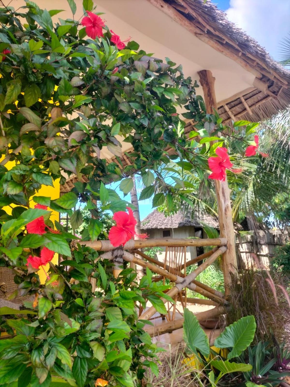 Bungalow