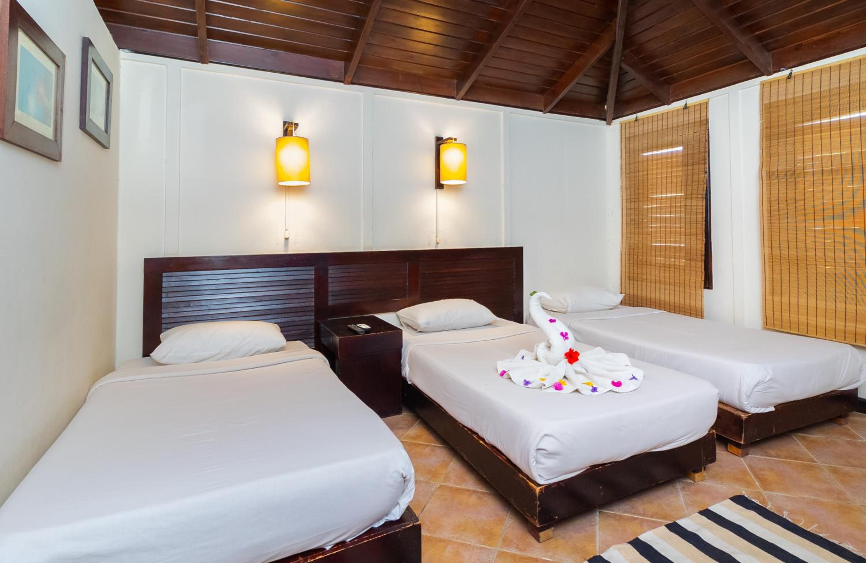 Triple Room photo 2