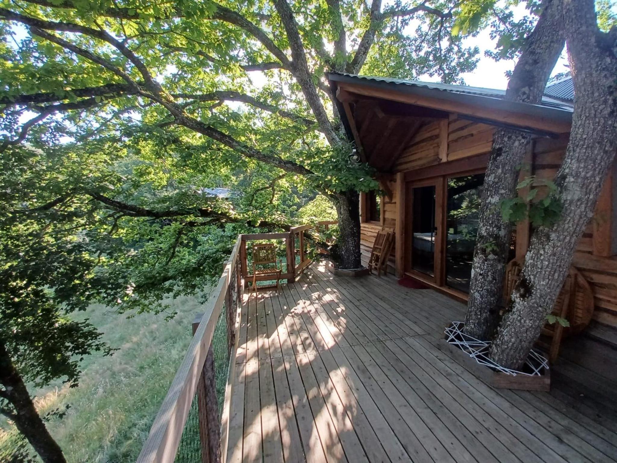 Bungalow Mountain View photo 3