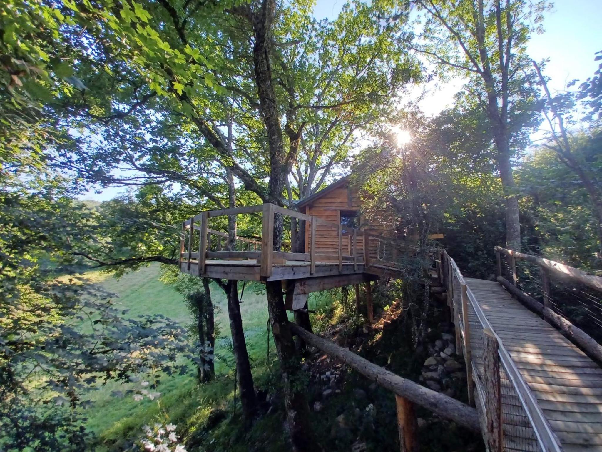 Bungalow Mountain View photo 2