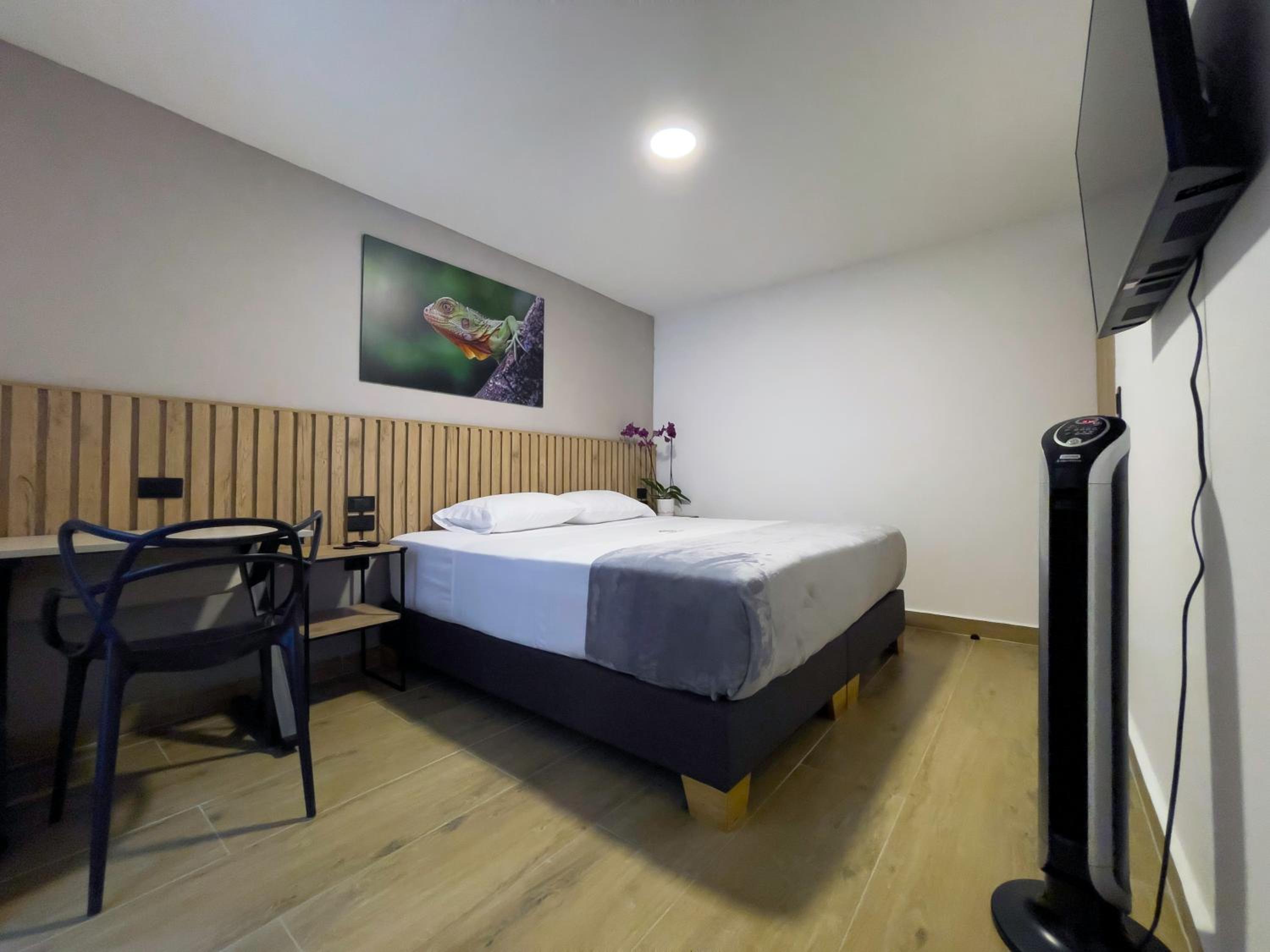 Double or Twin Room photo 2