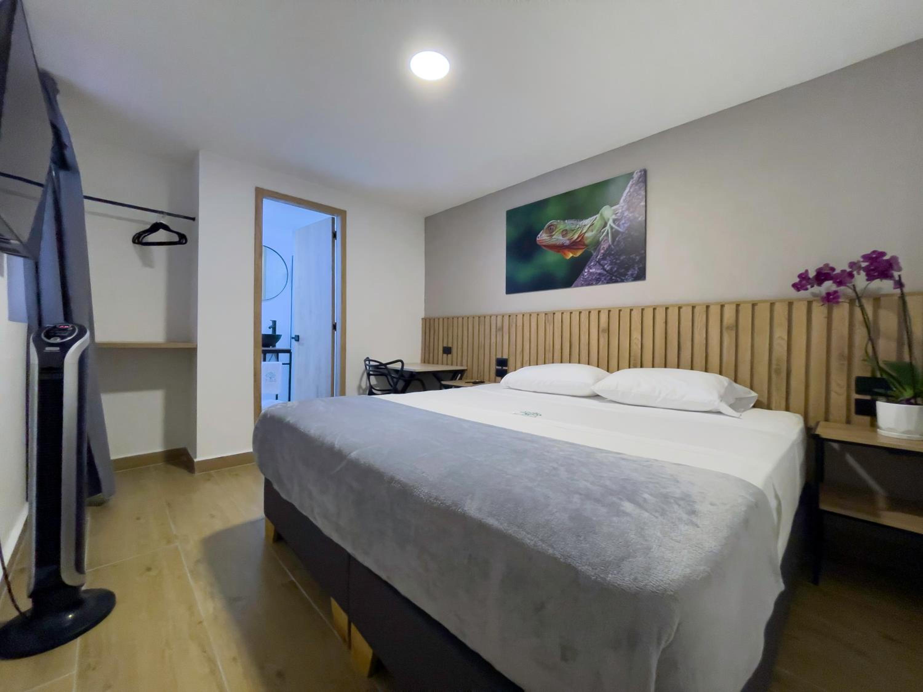 Double or Twin Room photo 1