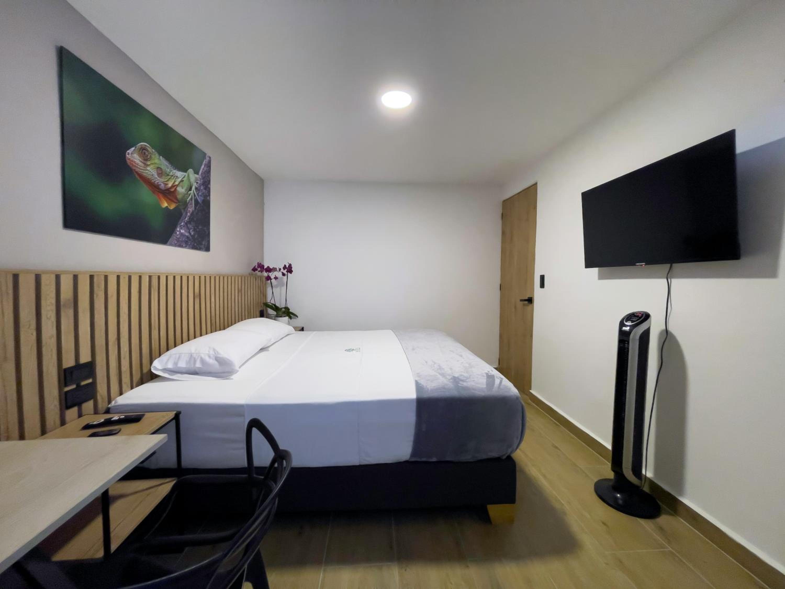 Double or Twin Room photo 3