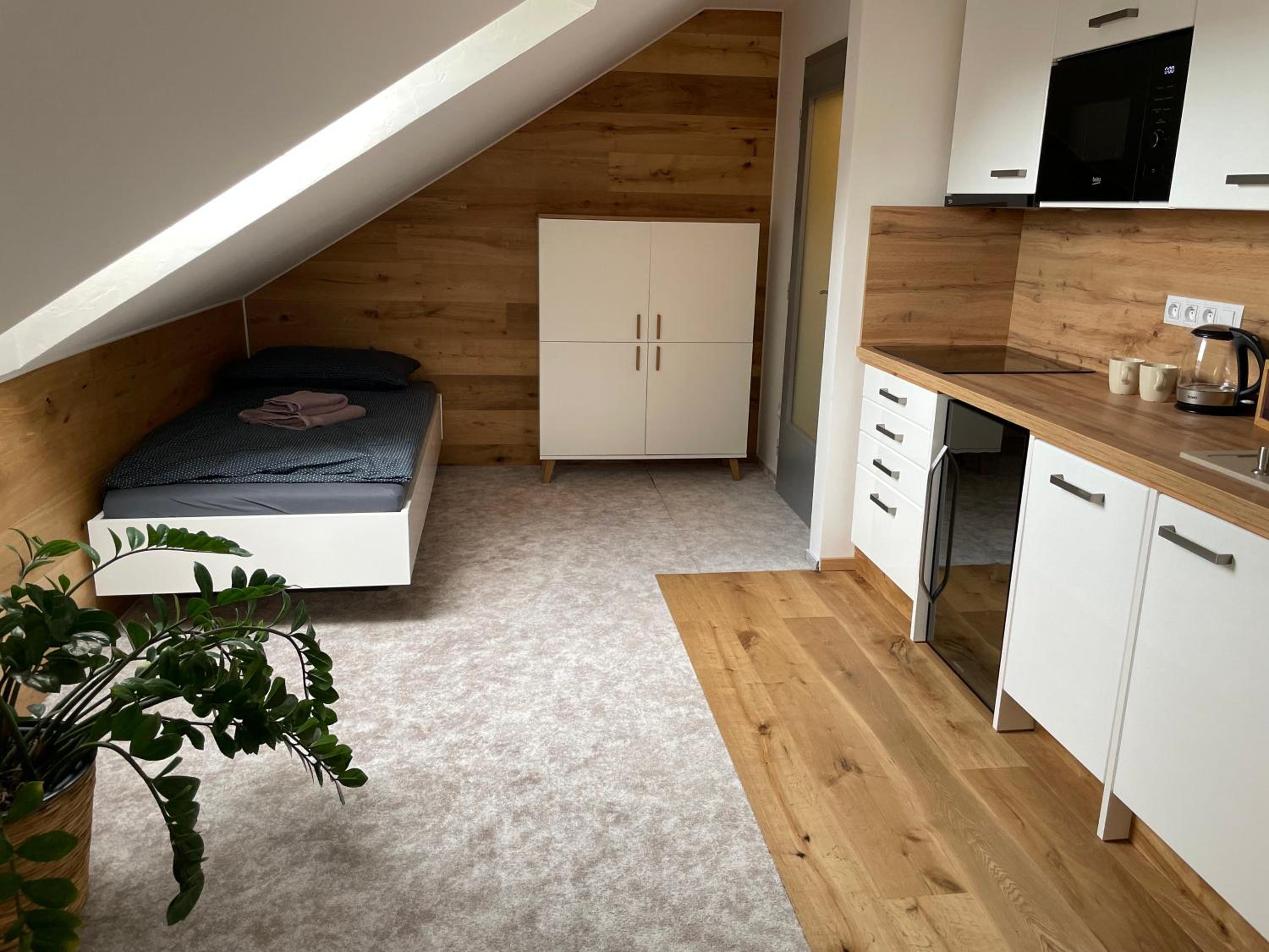 One-Bedroom Apartment - Photo 4