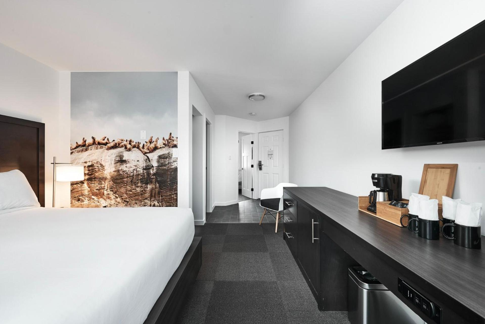 Queen Suite photo 1