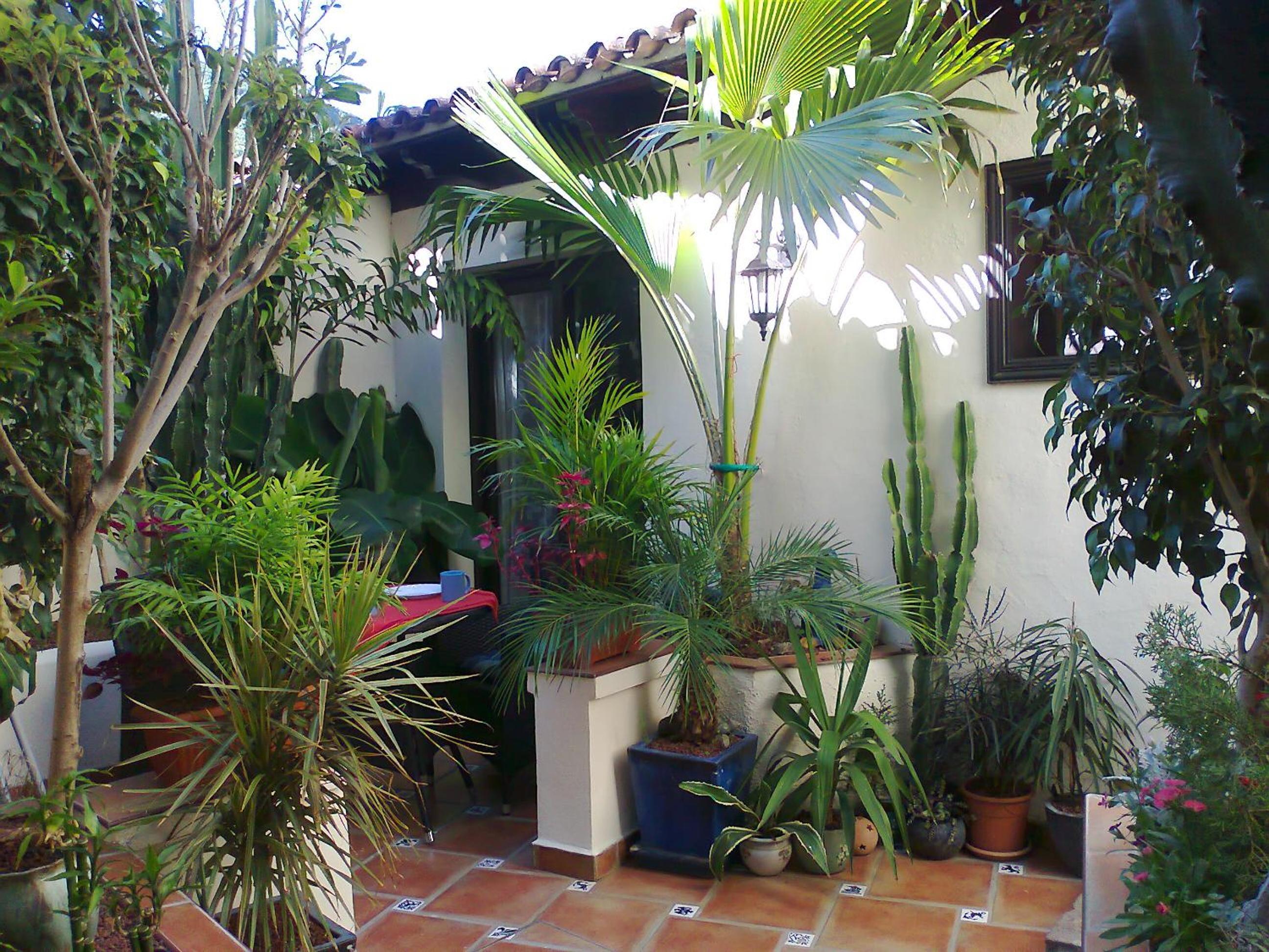 One-Bedroom Apartment with Terrace - Photo 24