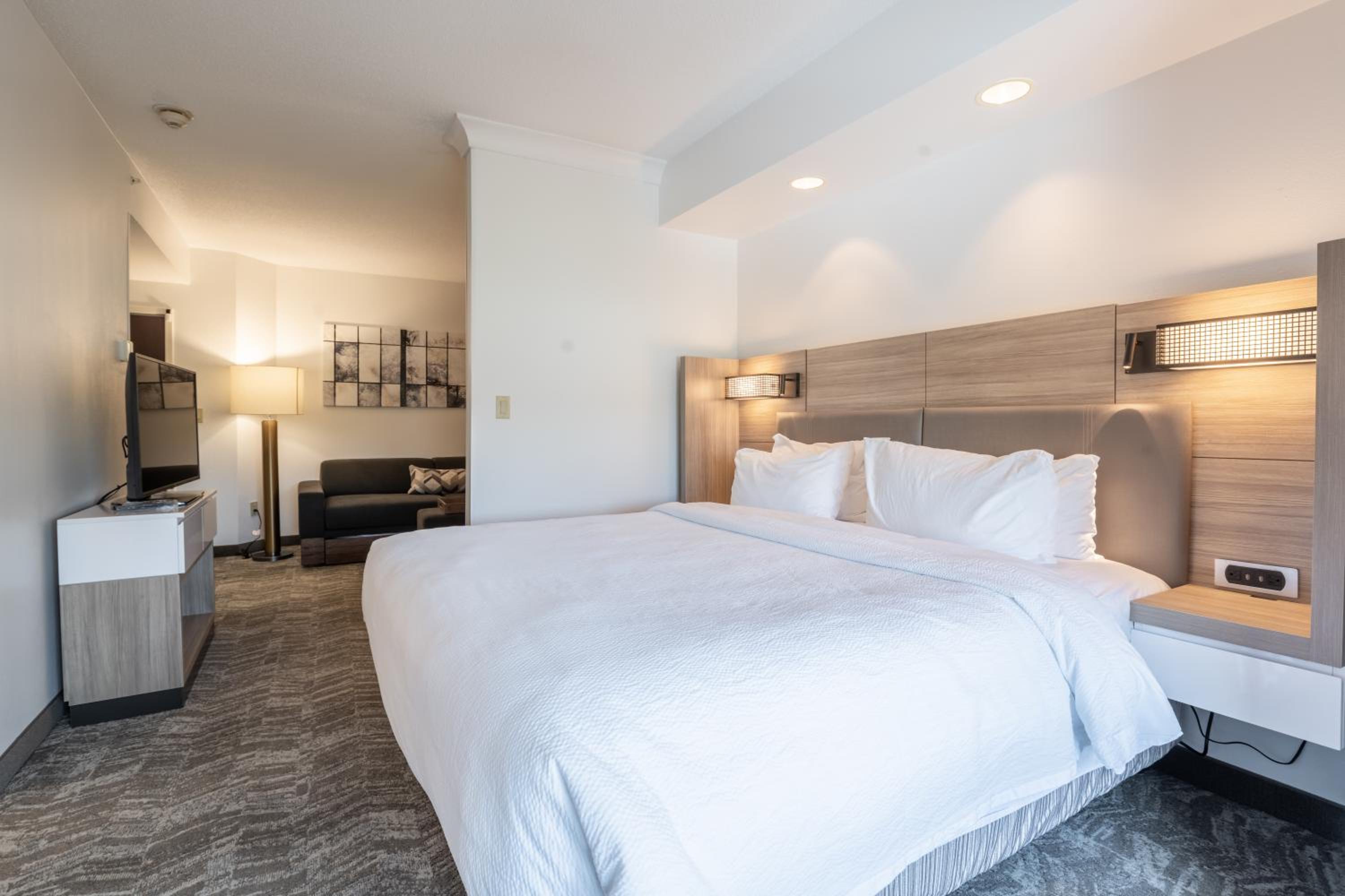 King Suite with Sofa Bed - Hearing Accessible - Photo 2