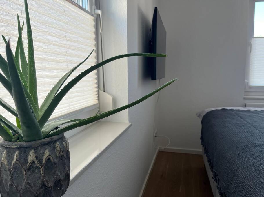 Three-Bedroom Villa photo 1