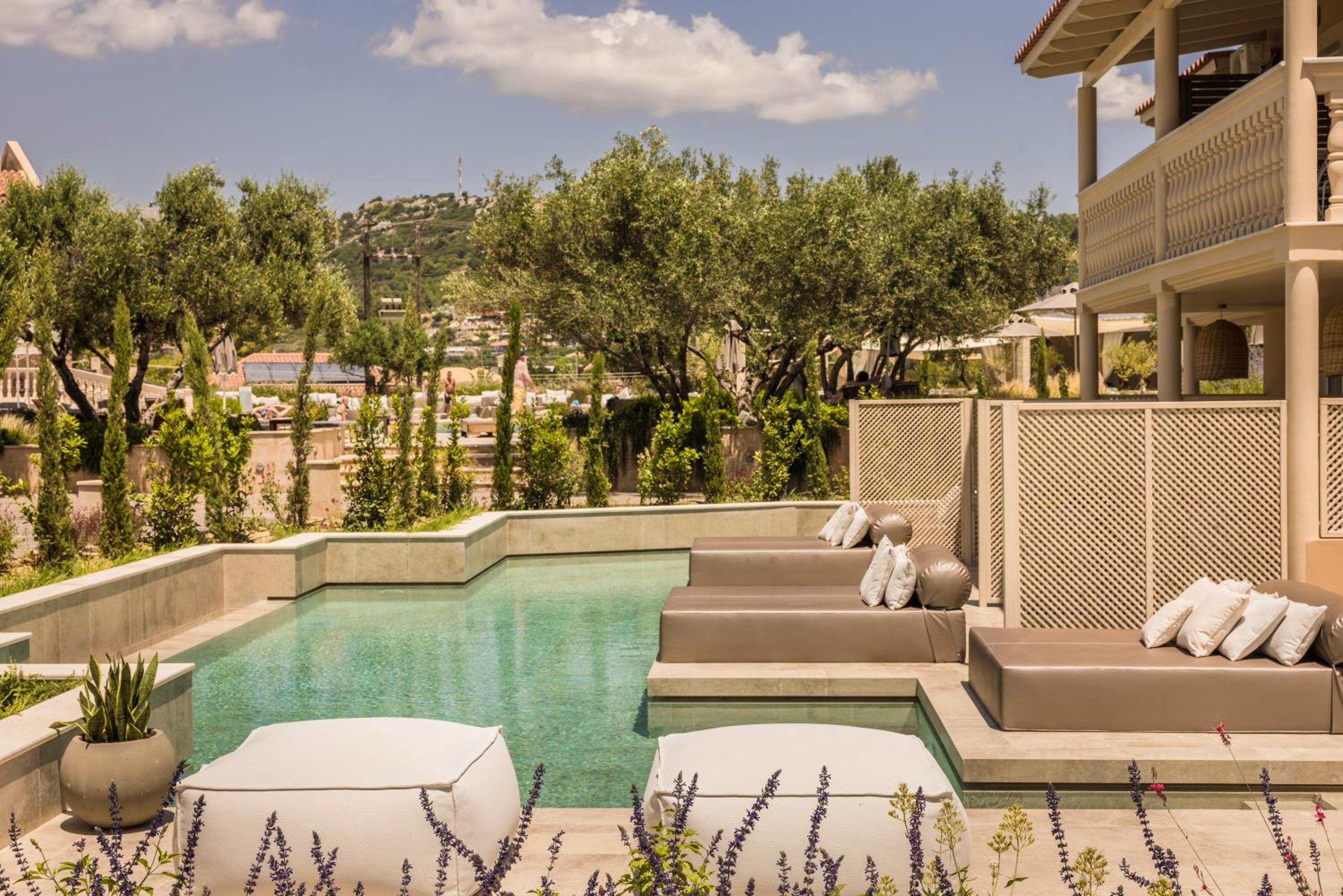 Deluxe garden swim up room ( shared pool ) photo 2