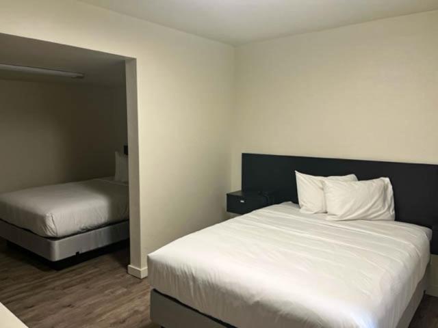 Queen Room - Disability Access - Non-Smoking photo 1