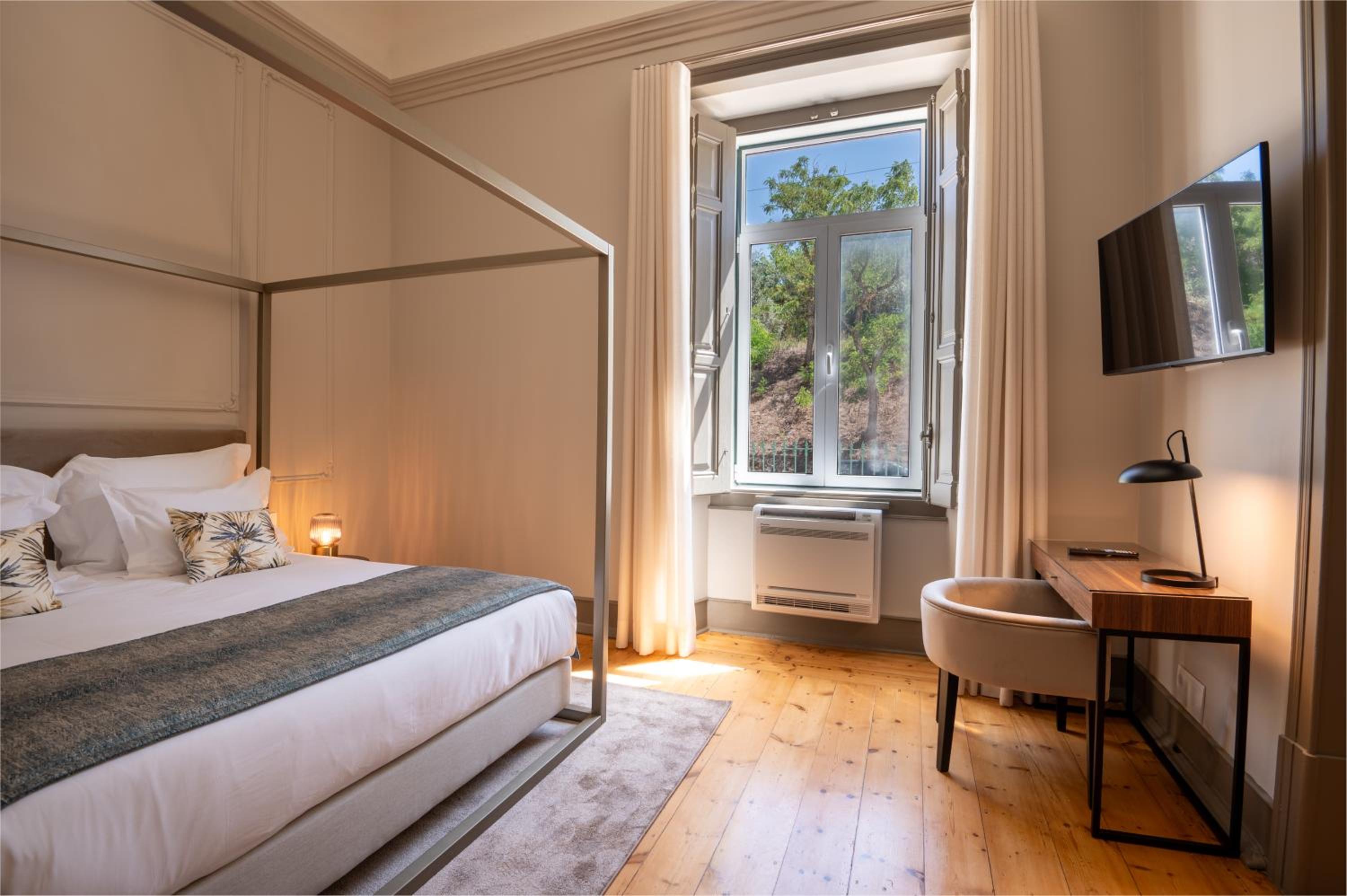 Deluxe King Suite photo 3
