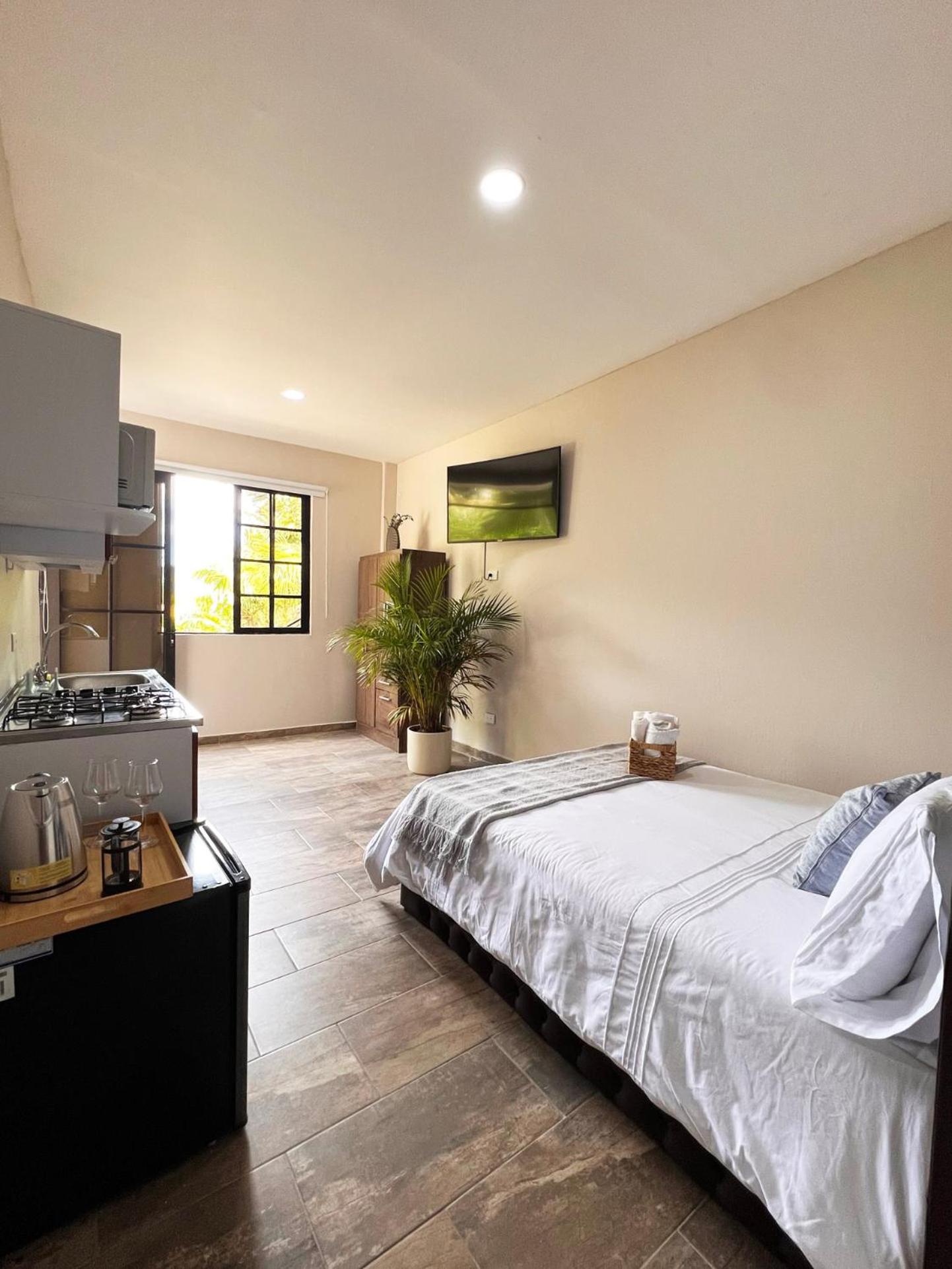 Double Room photo 1