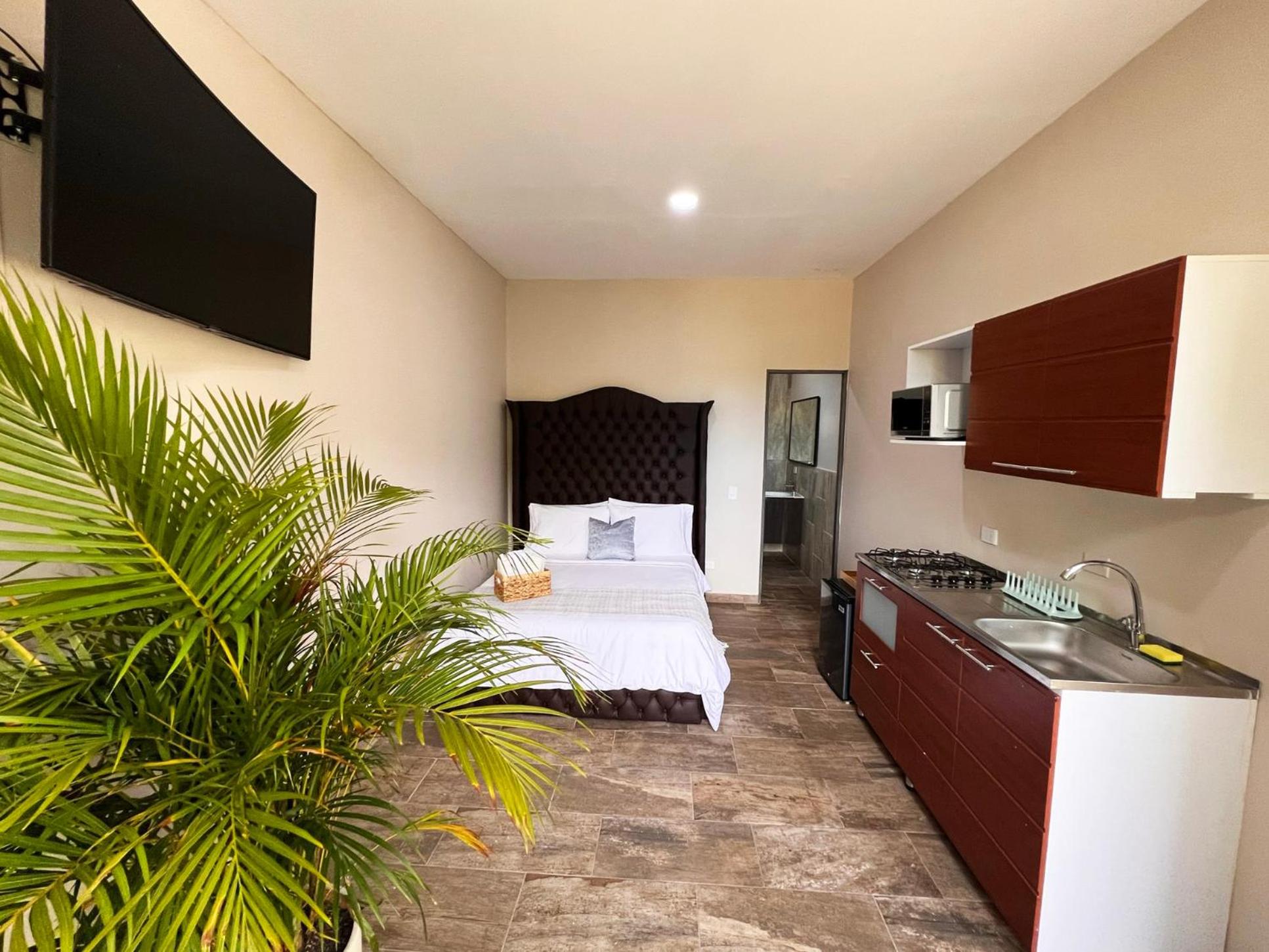 Double Room photo 3