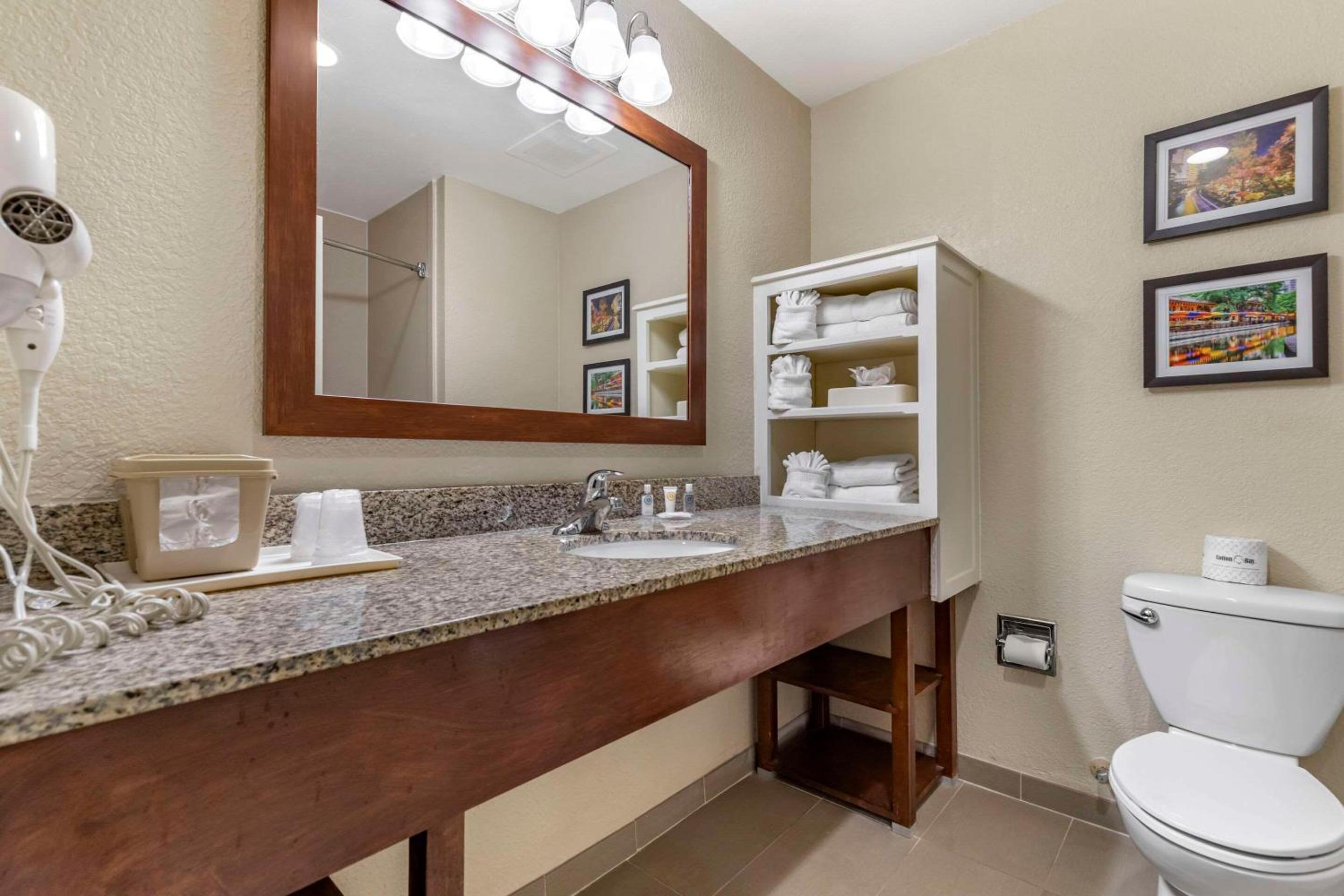 King Suite - Non-Smoking - Photo 4