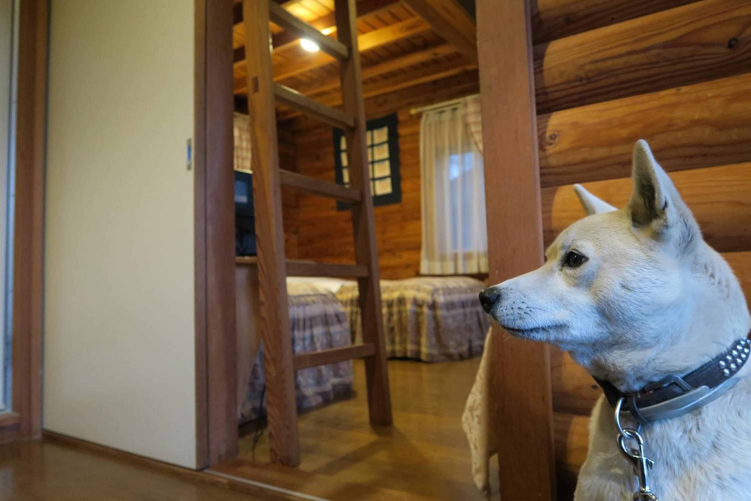 Cottage Triple Room - Photo 5
