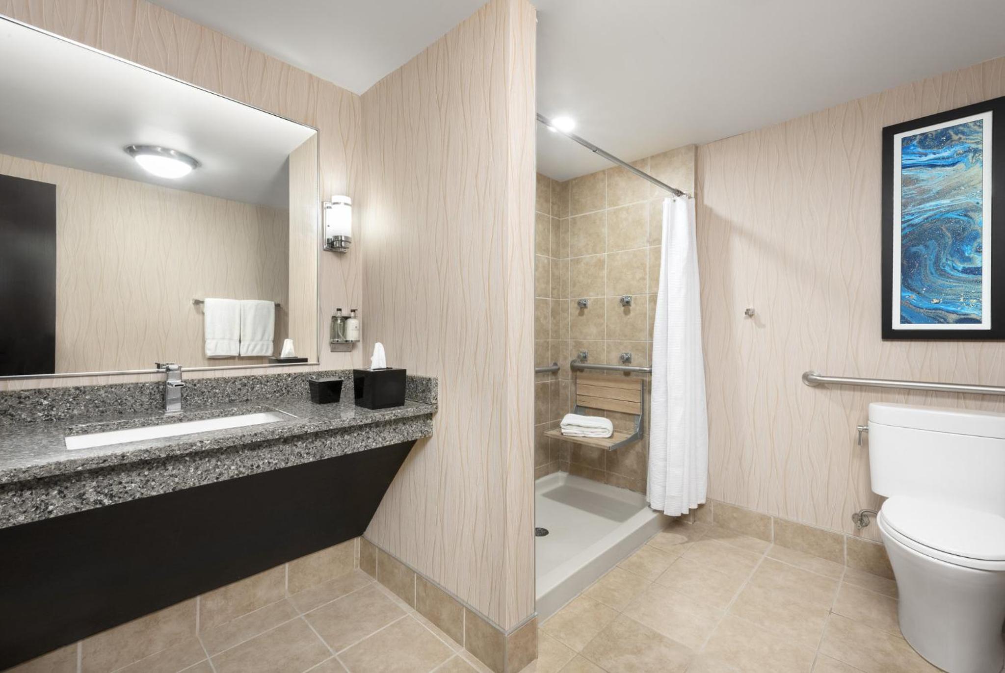 King Room - Mobility Access/Roll in Shower - Non-Smoking - Photo 4