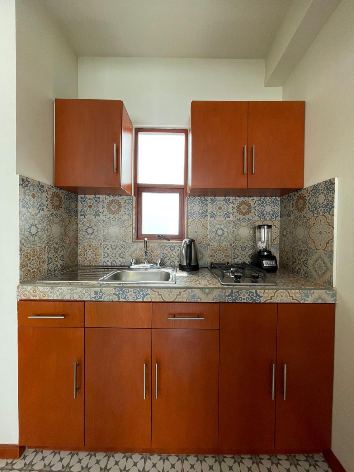 One-Bedroom Apartment photo 2