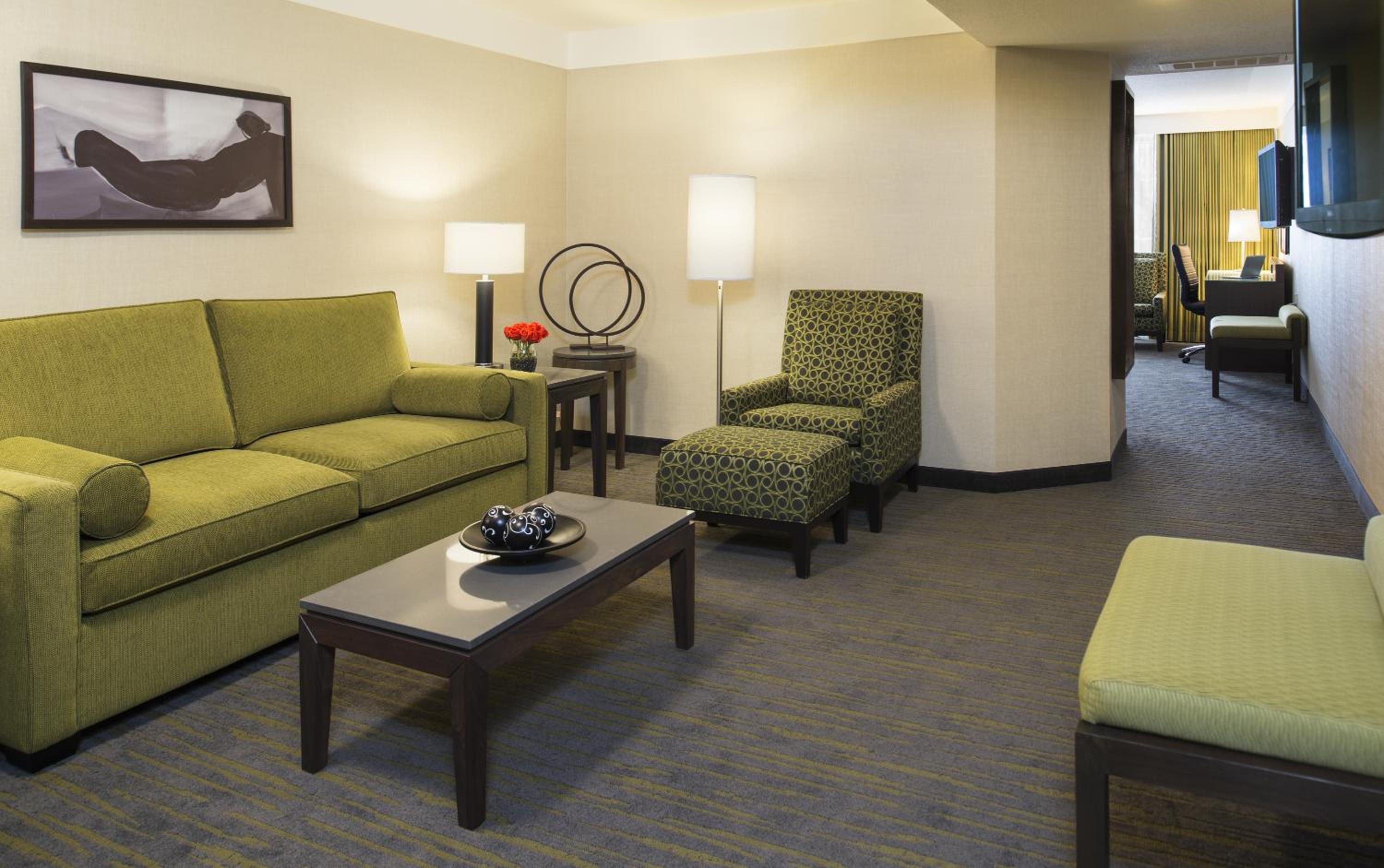 Suite (King) photo 1