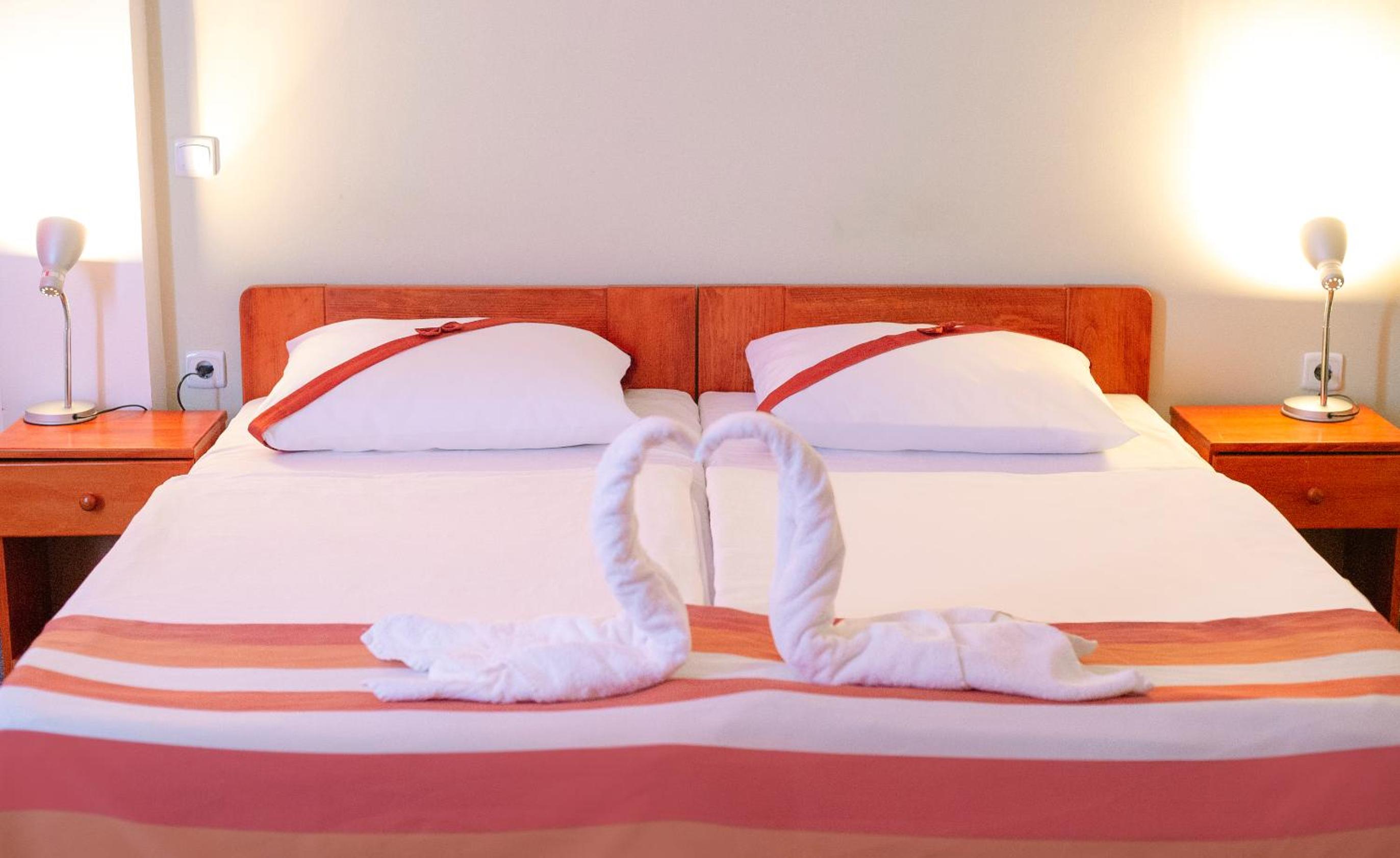 Deluxe Twin Room photo 1