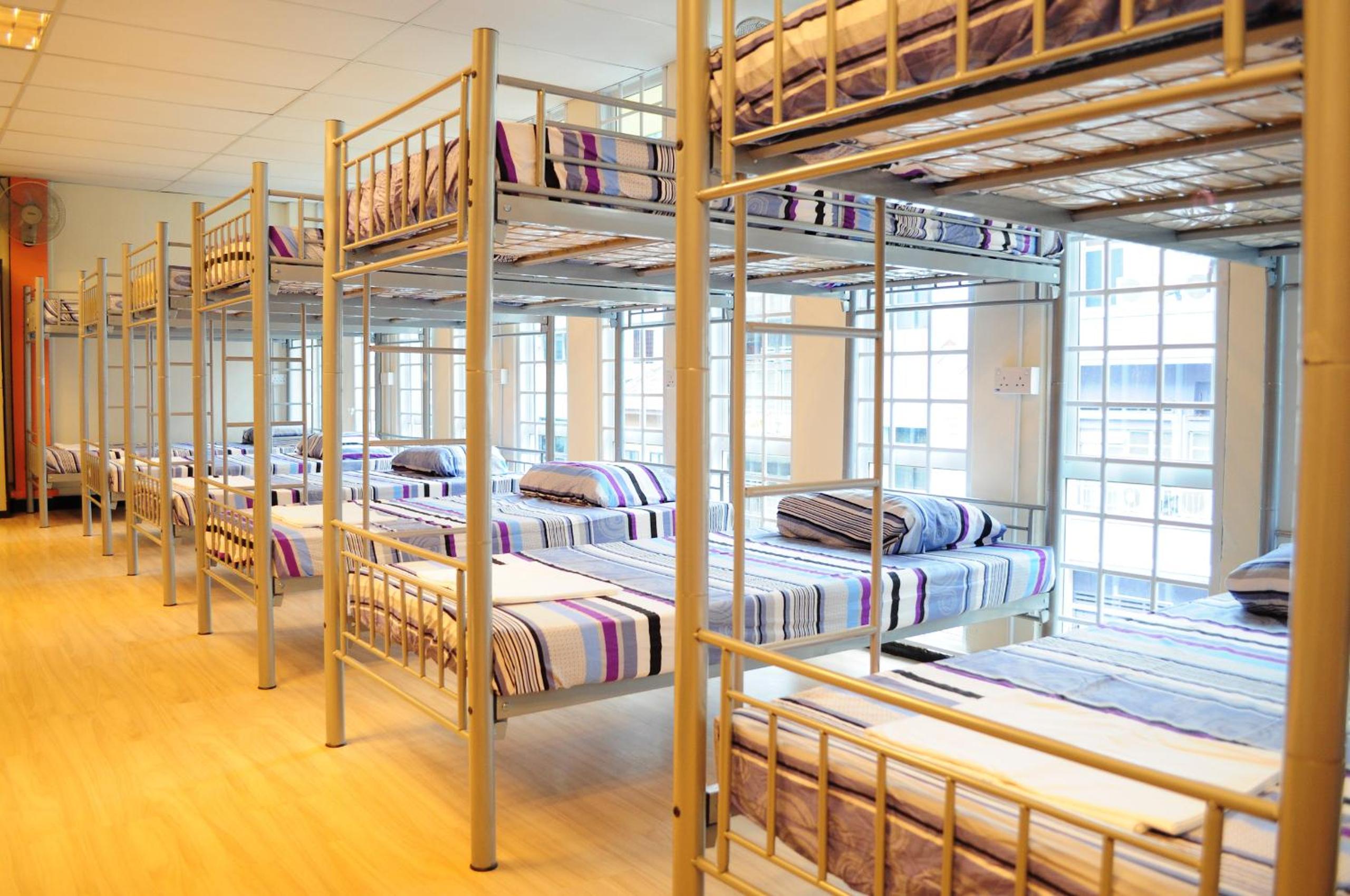 Bed in 14-Bed Mixed Dormitory Room photo 3