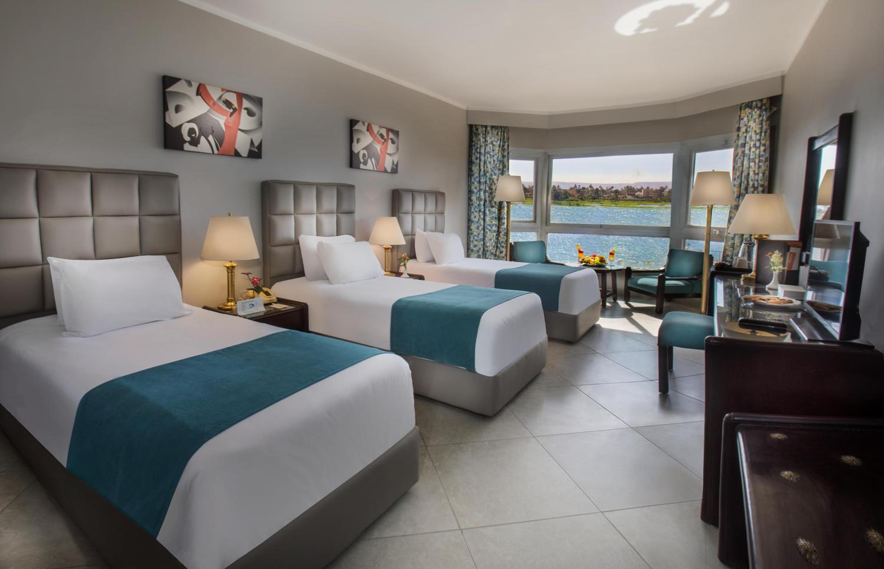 Premium Double Room Nile View - Photo 6