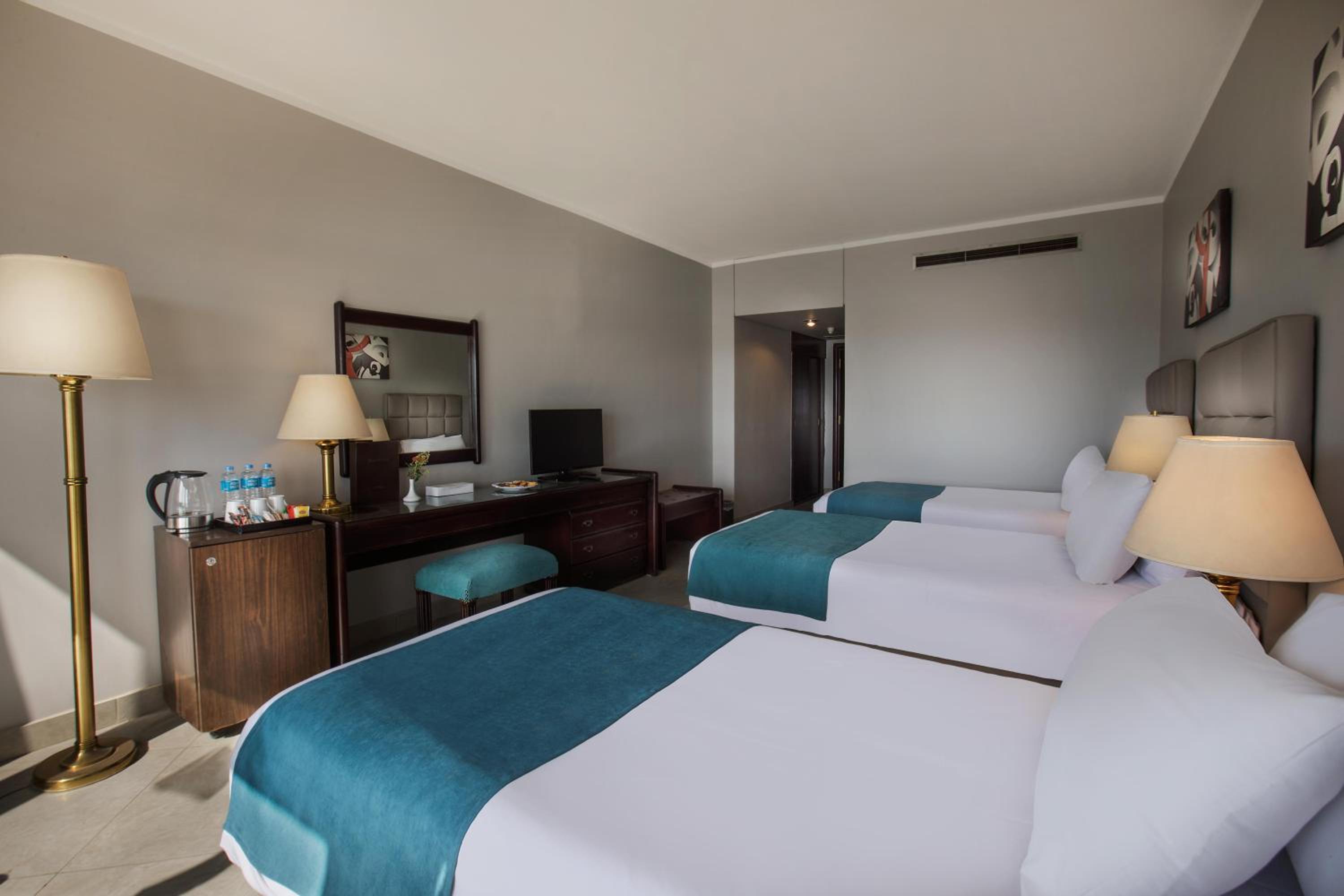 Premium Double Room Nile View - Photo 10