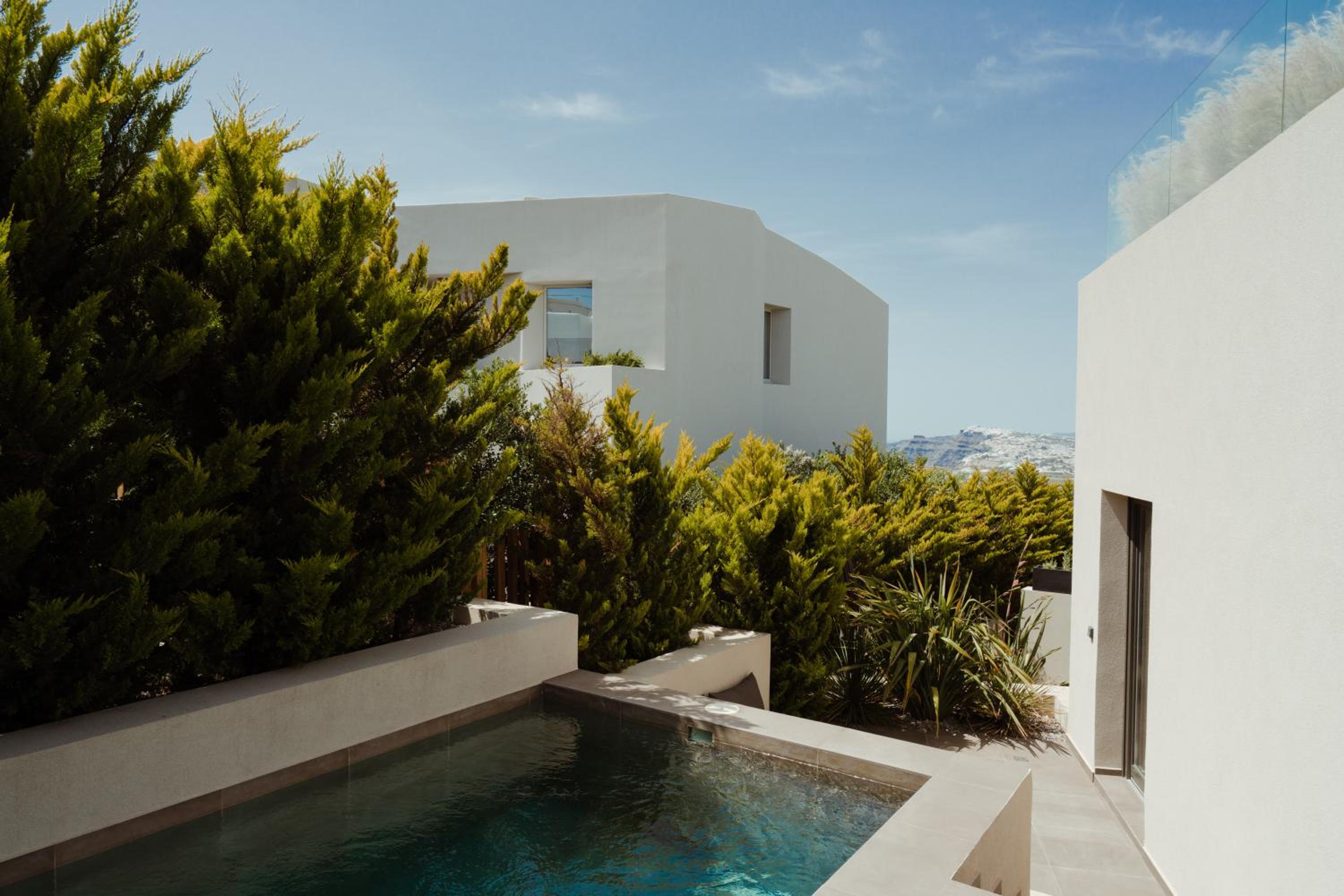 Premier Suite with Private Pool - Photo 33