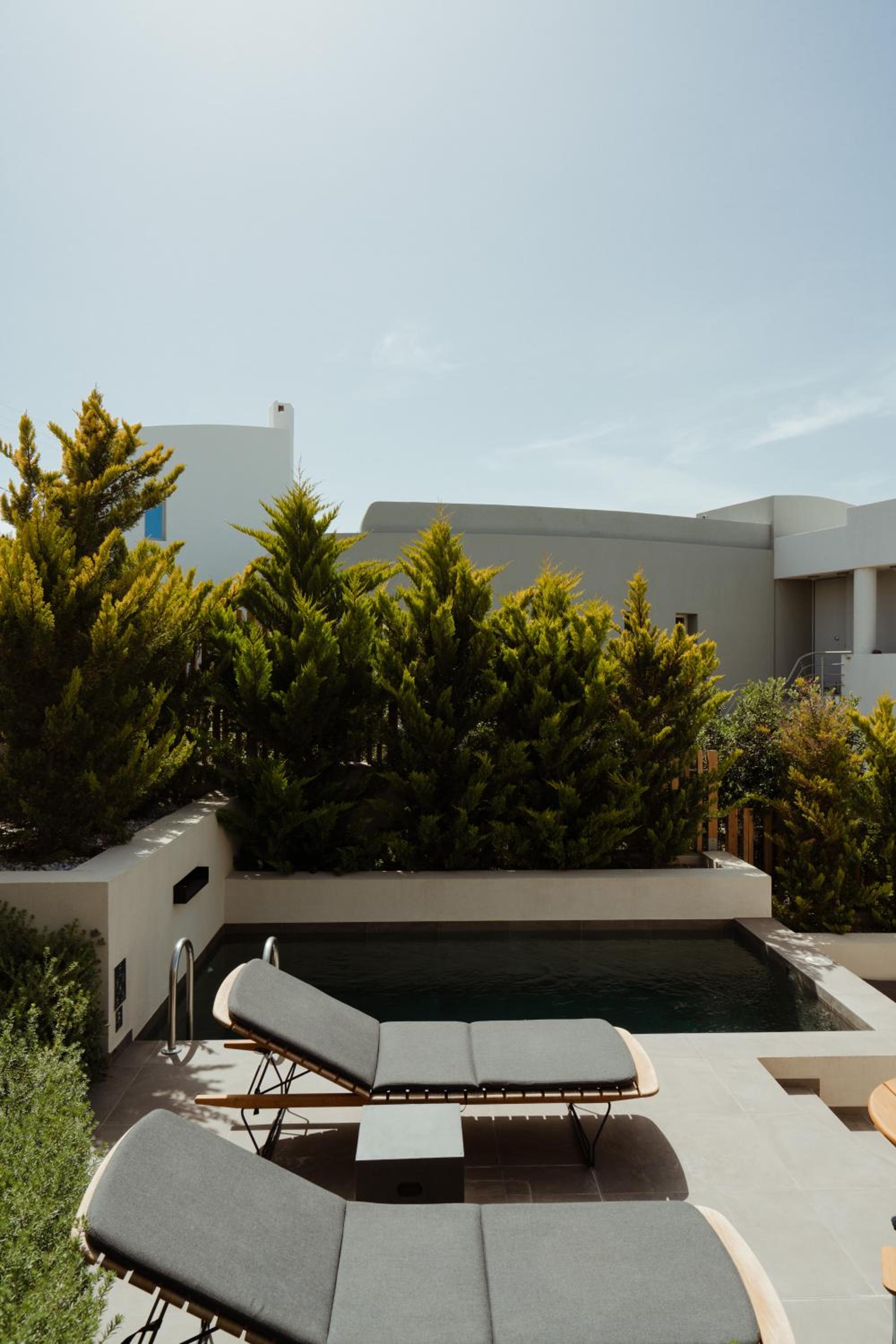 Premier Suite with Private Pool - Photo 9
