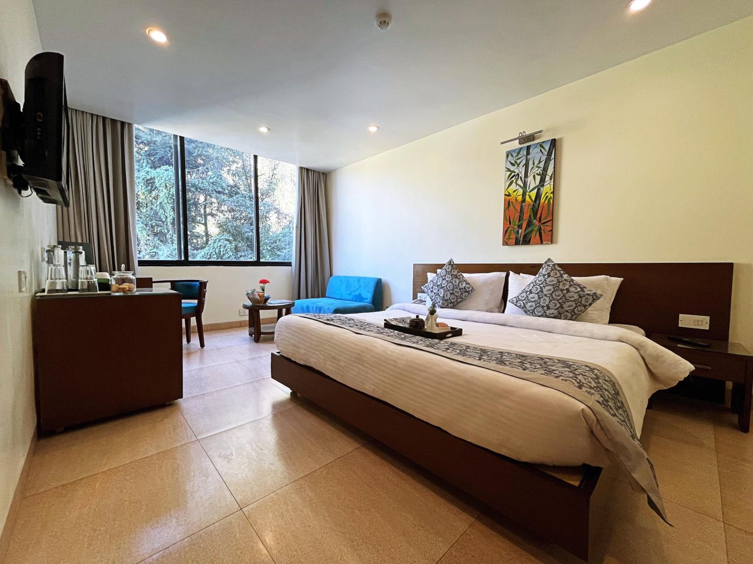 Double Room with Mountain View photo 2