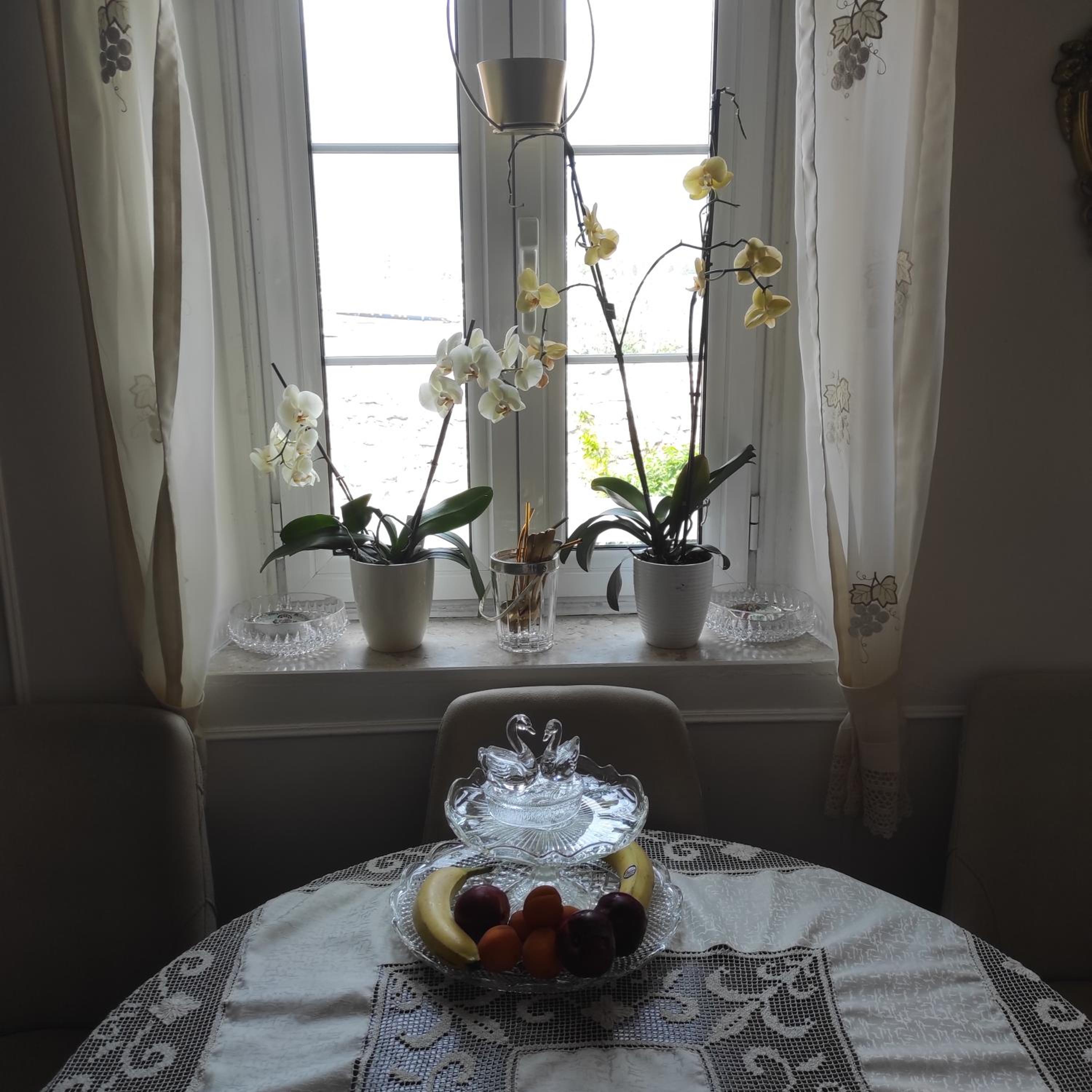 Apartment with Sea View - Photo 42