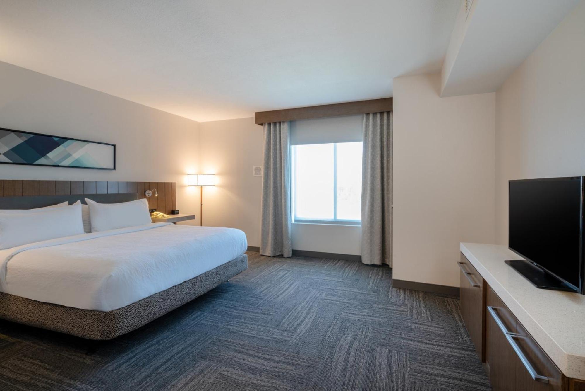 Junior King Suite with Sofa Bed - Photo 8