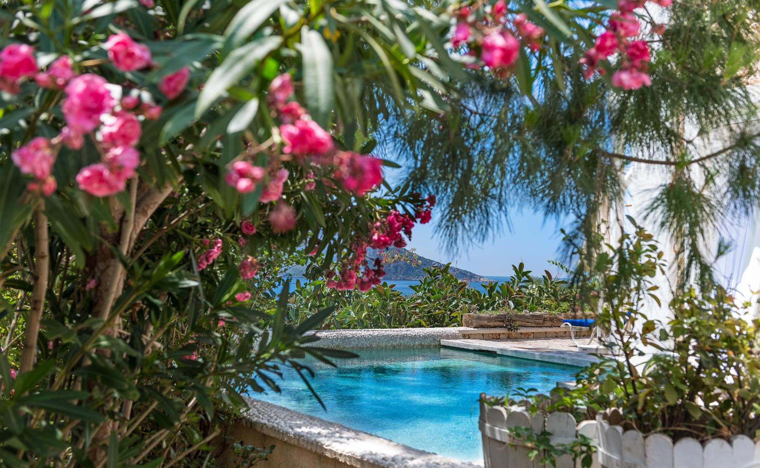 Suite with Private Pool photo 3
