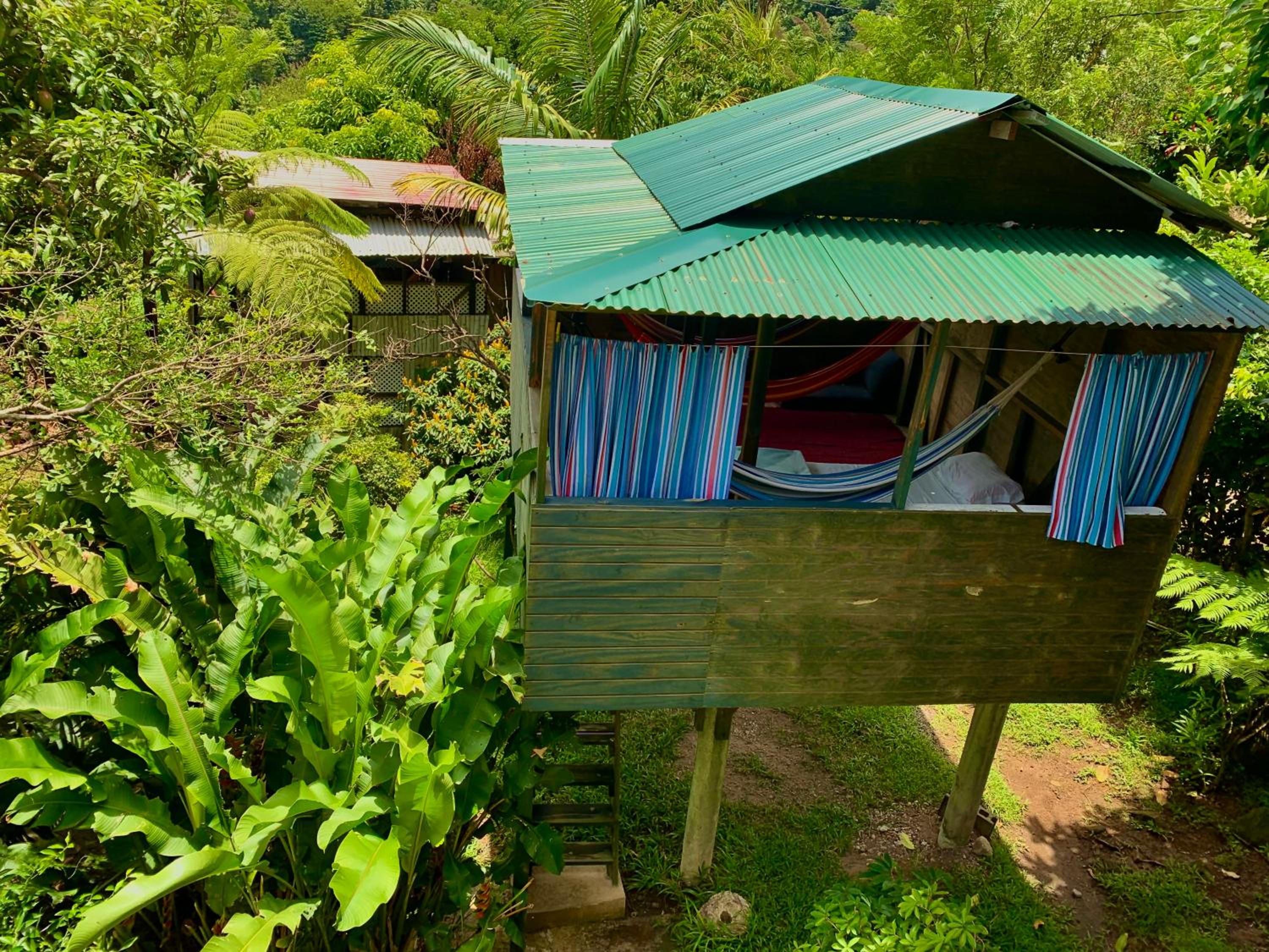 Treehouse with hammock
