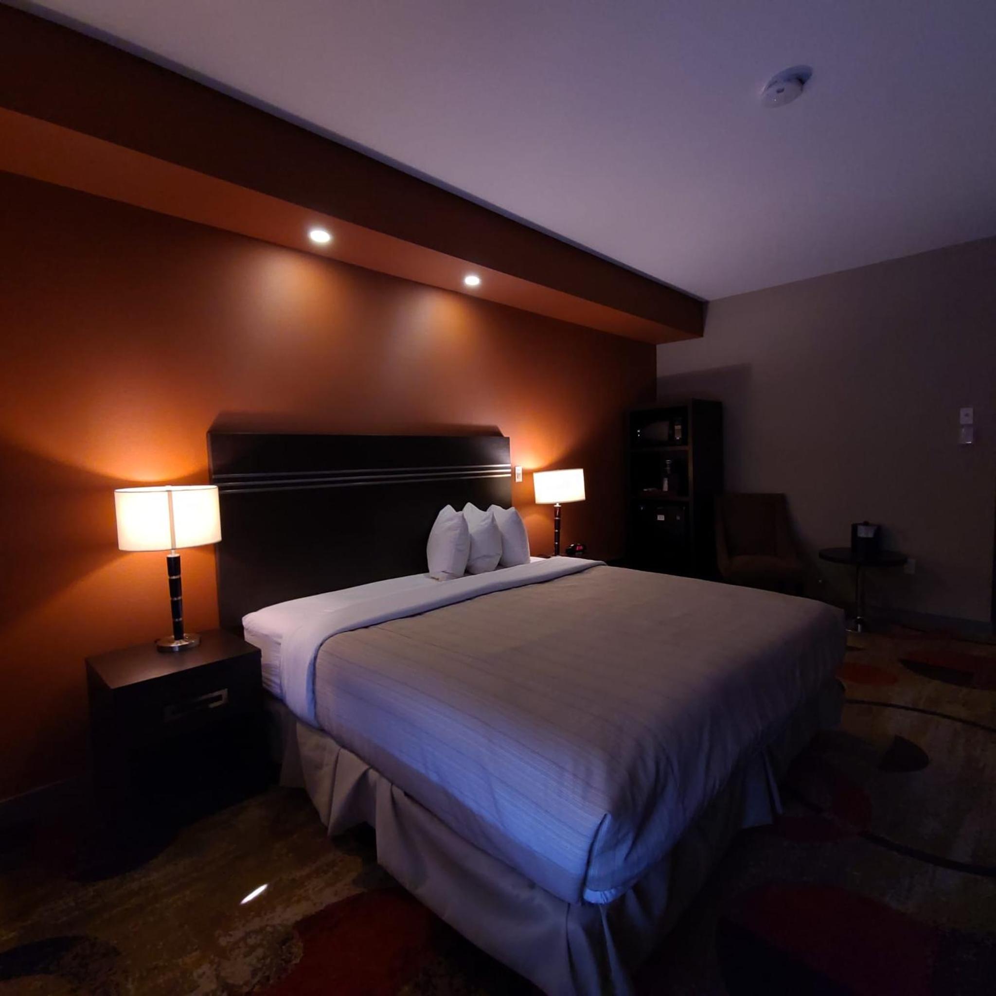 Large Single Room photo 1