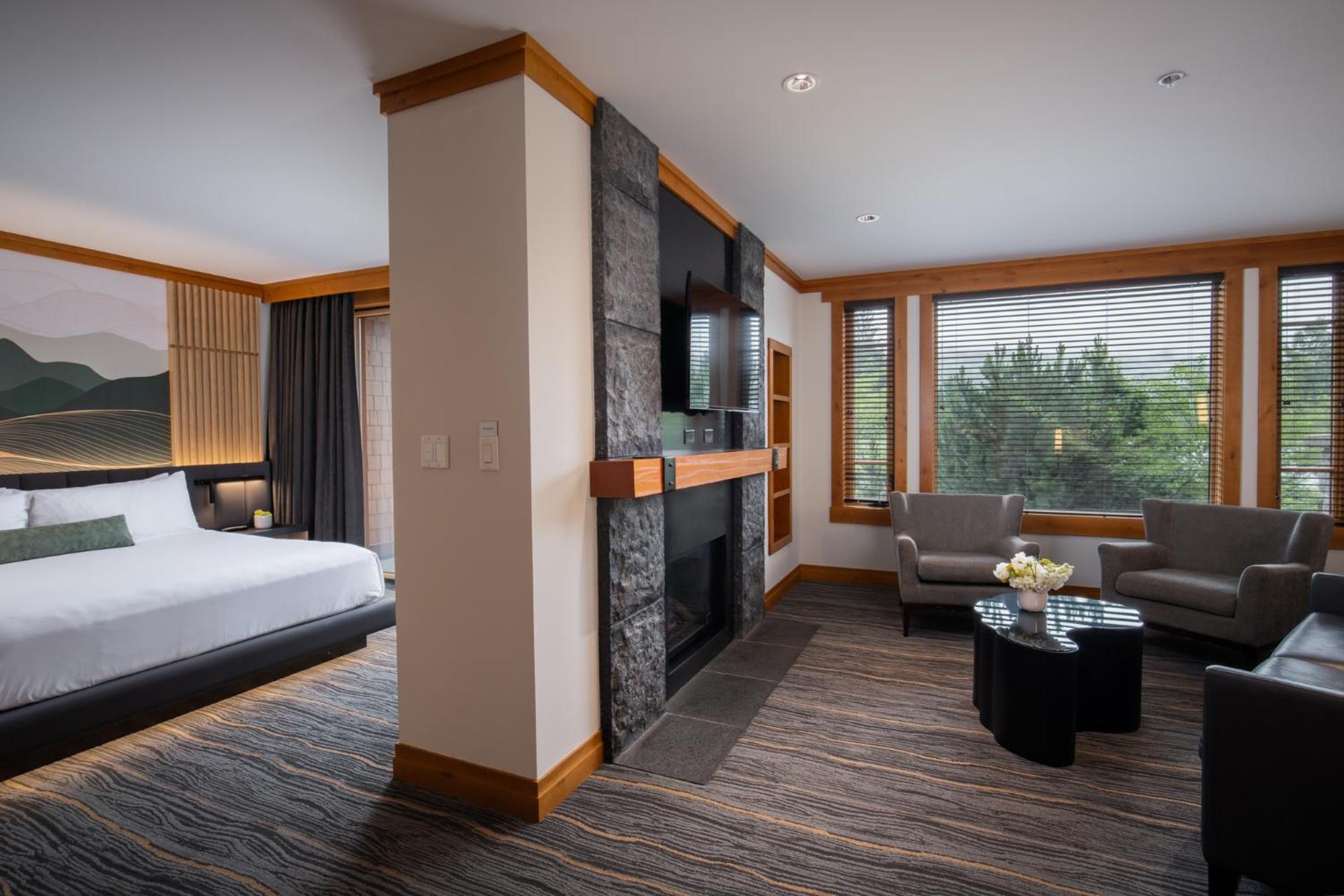 One-Bedroom Suite - Photo 4