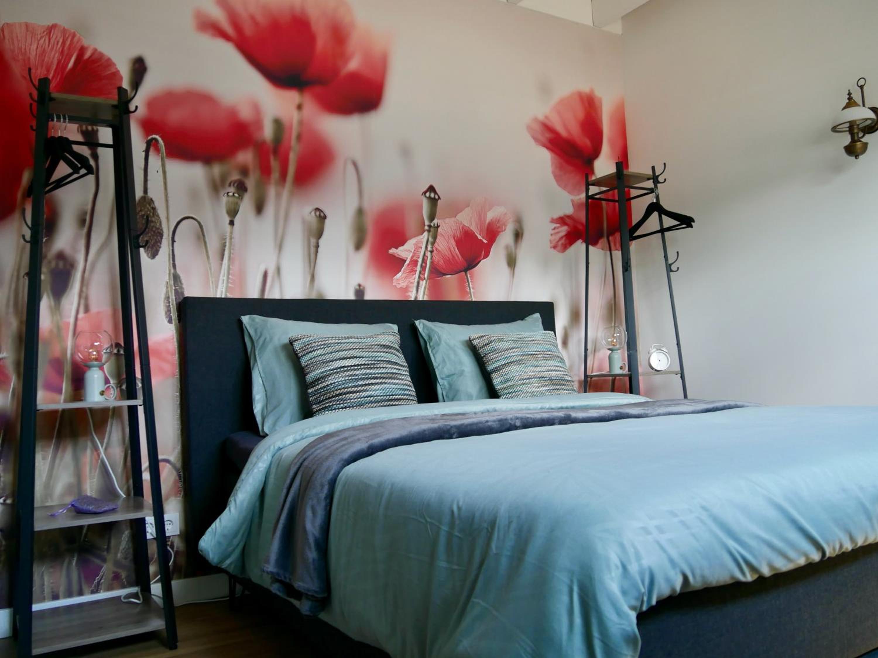 Suite with Terrace photo 1