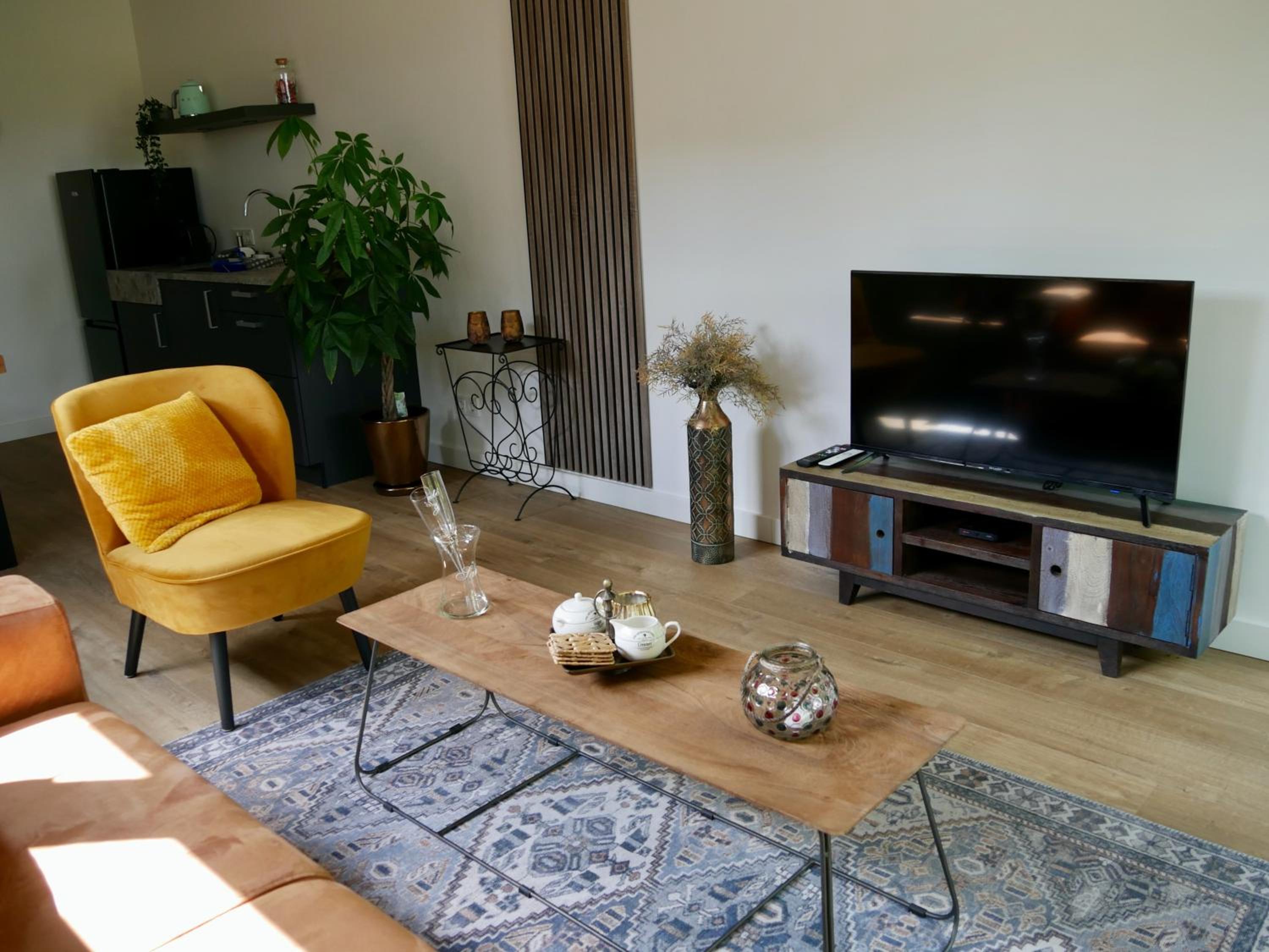 Suite with Terrace photo 3