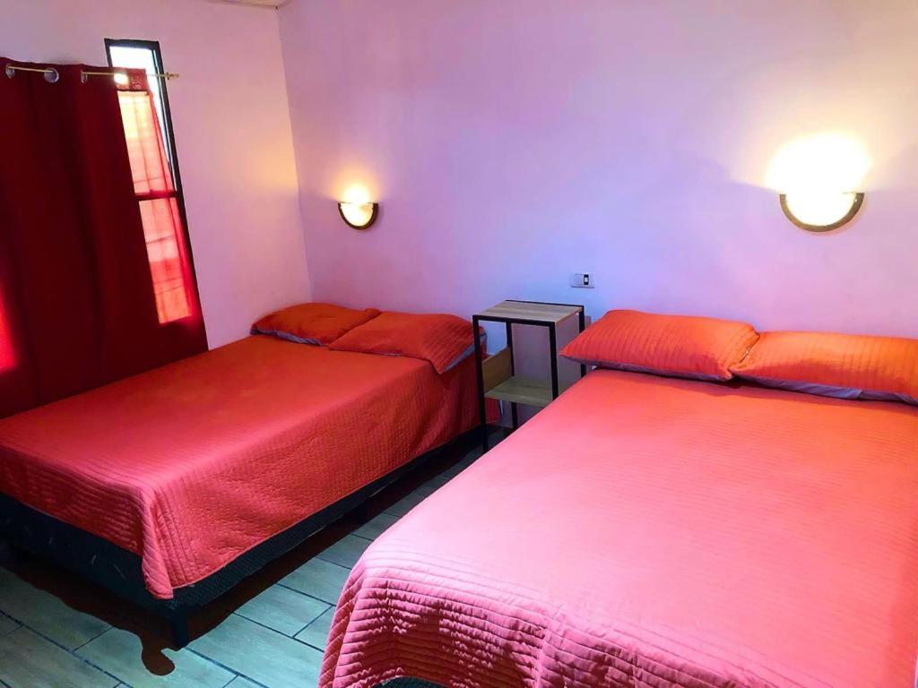 Standard Twin Room photo 1