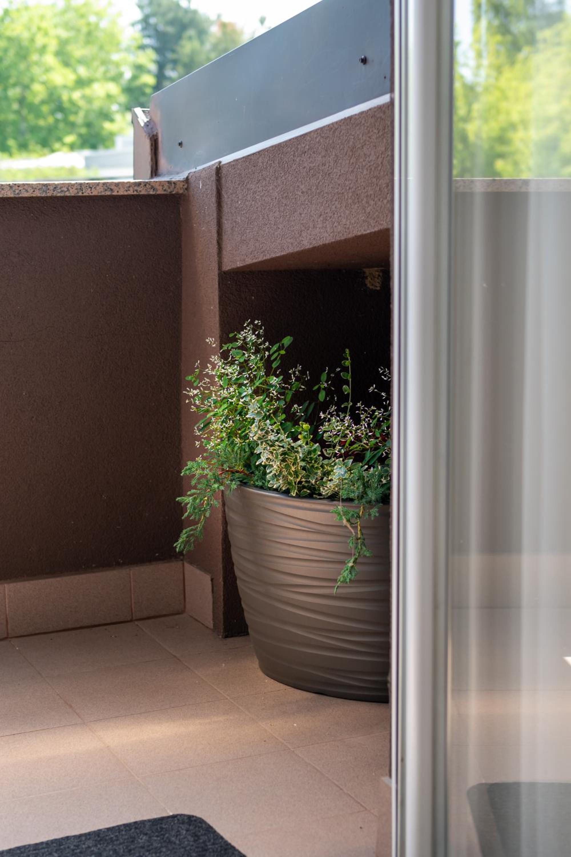 Apartment with Terrace - Photo 44