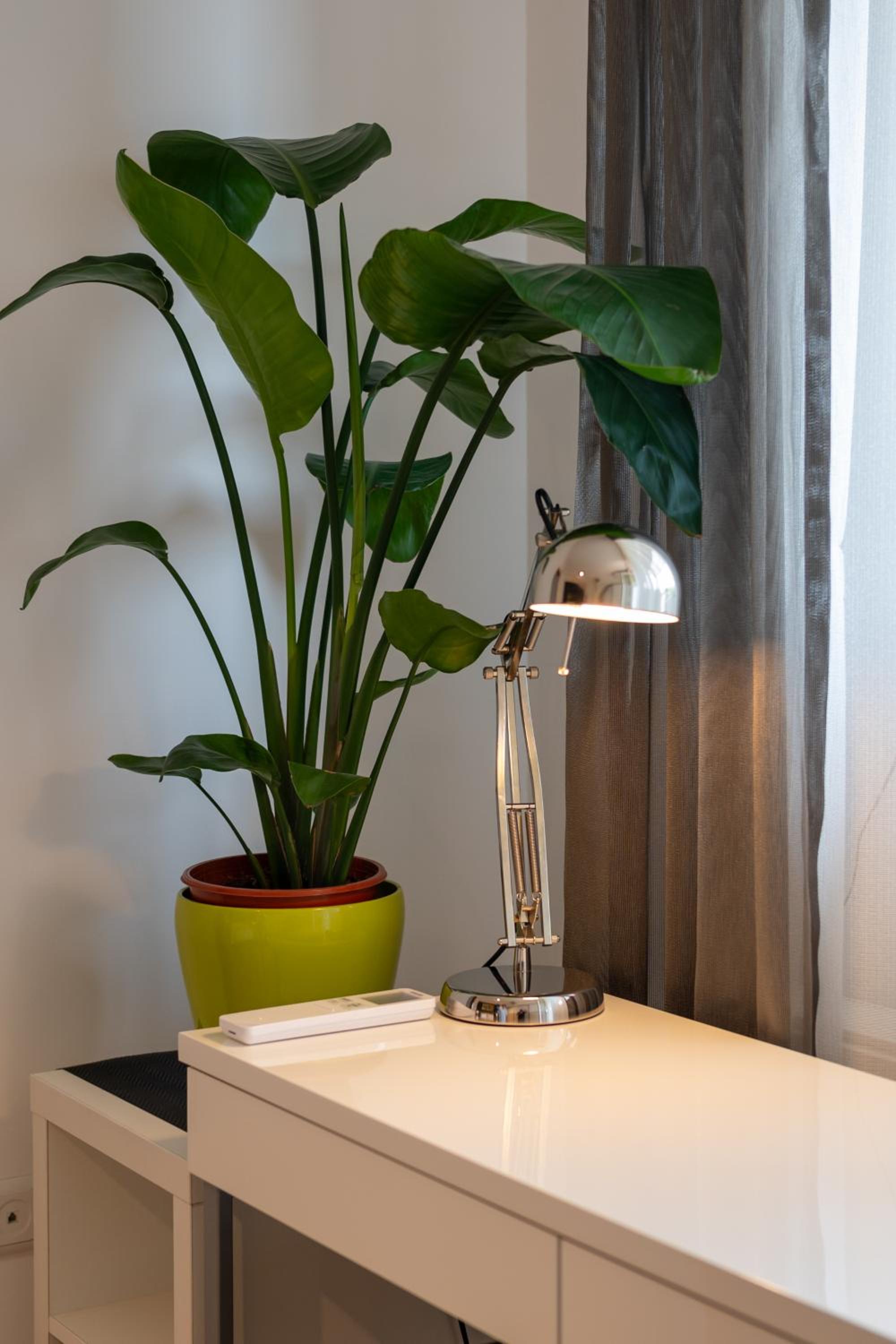 Apartment with Terrace - Photo 45