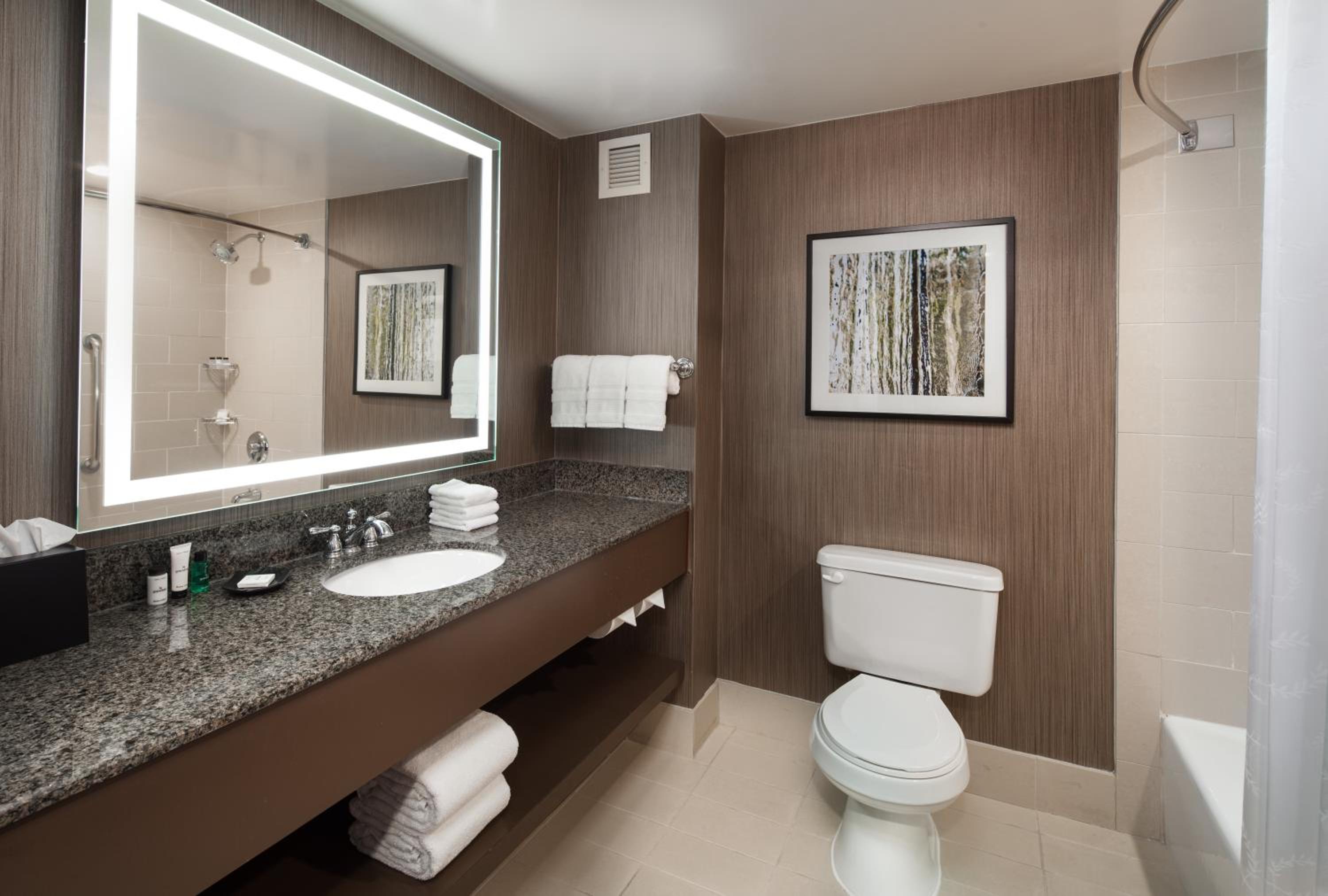 Guest Room, 1 King - Photo 3
