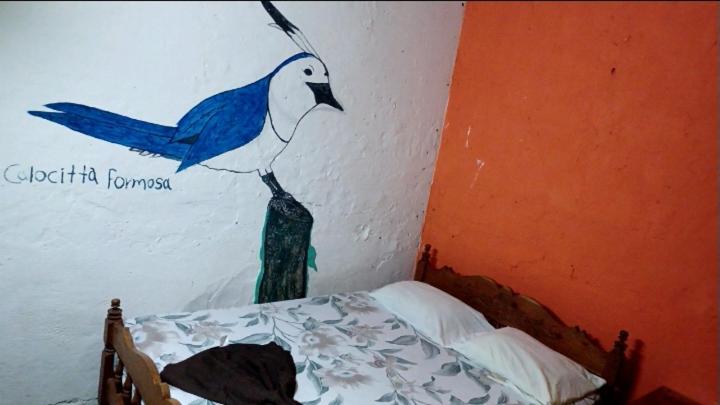 Double Room With Shared Bathroom photo 2