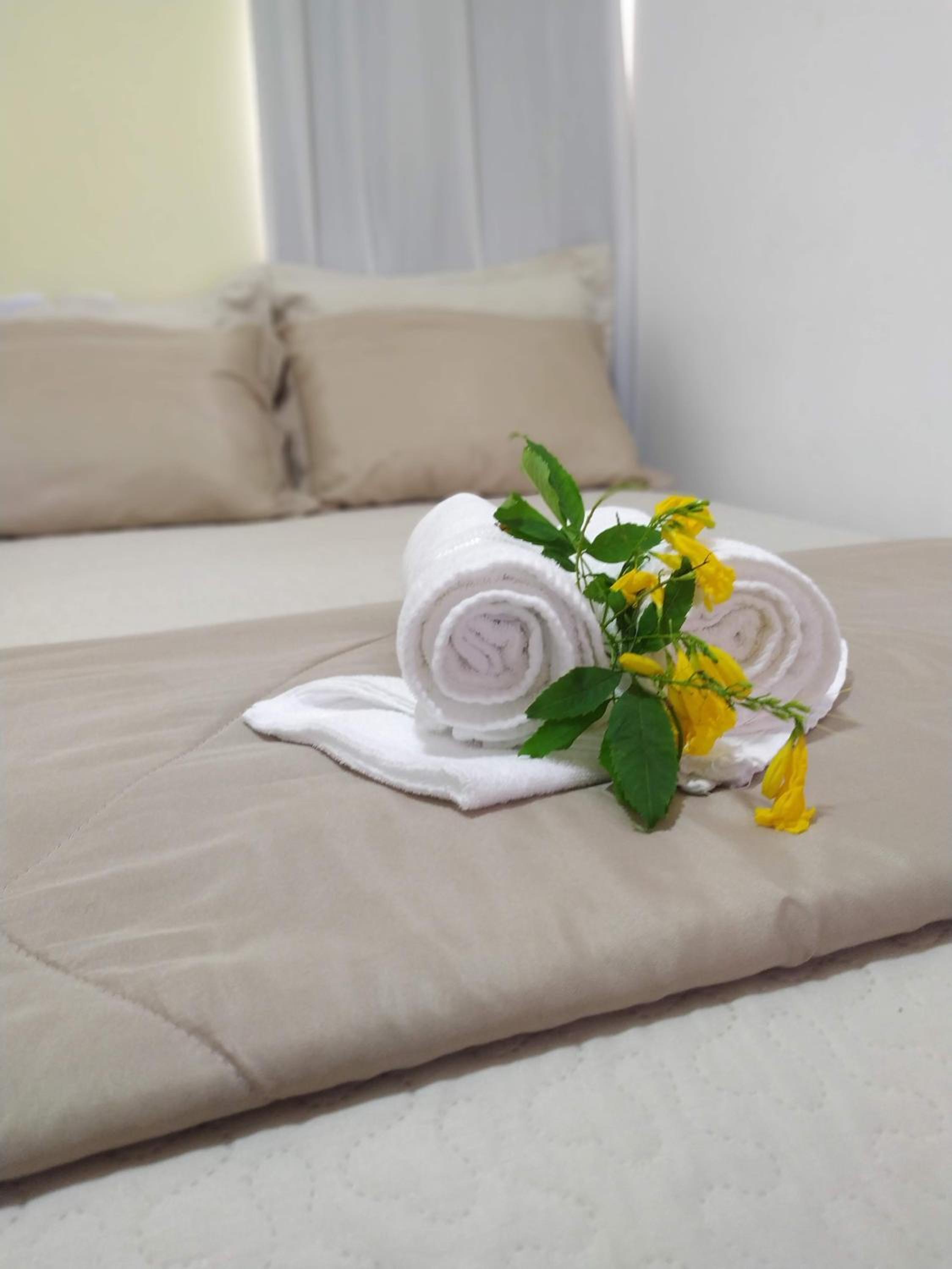 Single Room photo 3