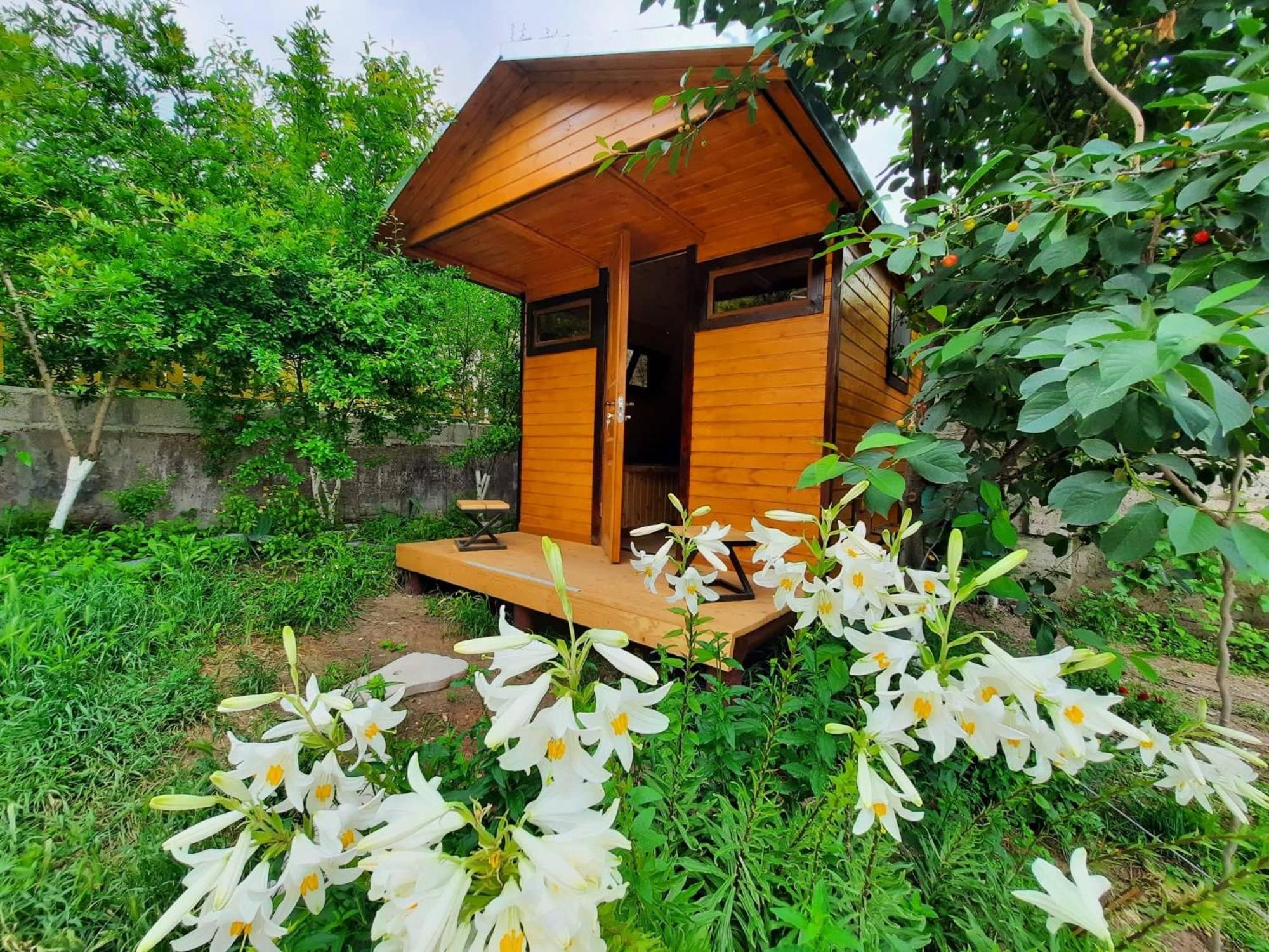 One-Bedroom Chalet photo 1